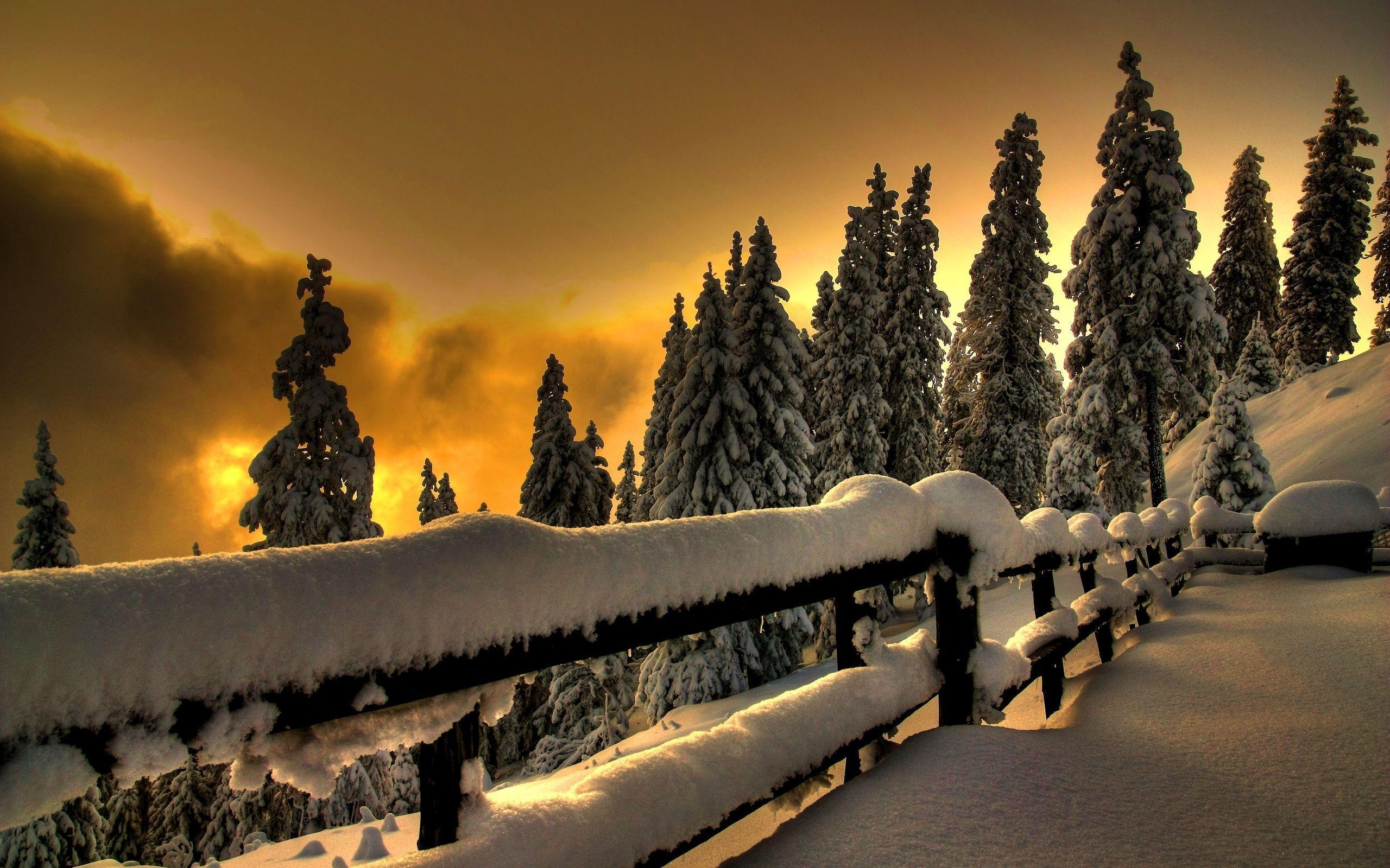 2560x1600 HD Winter Sunset Wallpaper, Desktop