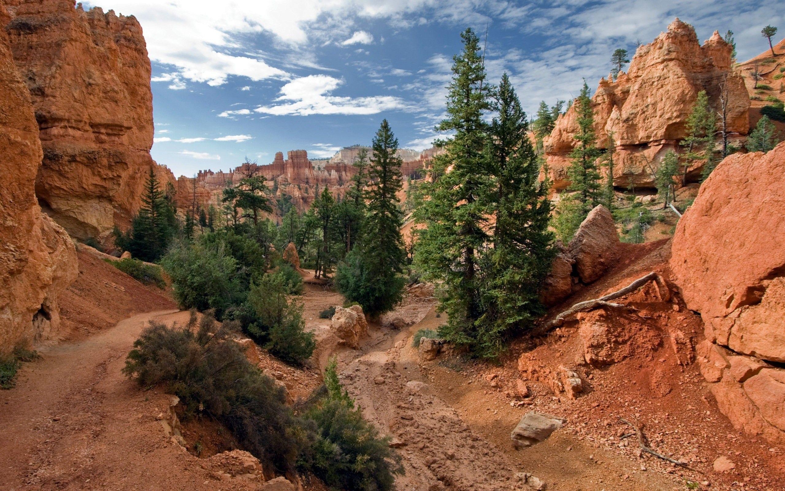 2560x1600 Canyon: Bryce Canyon National Park Clouds Sky Nature Trees Grand, Desktop