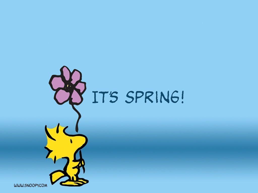 1030x770 Woodstock: It's Spring. Hello Goodbye Months And Seasons, Desktop