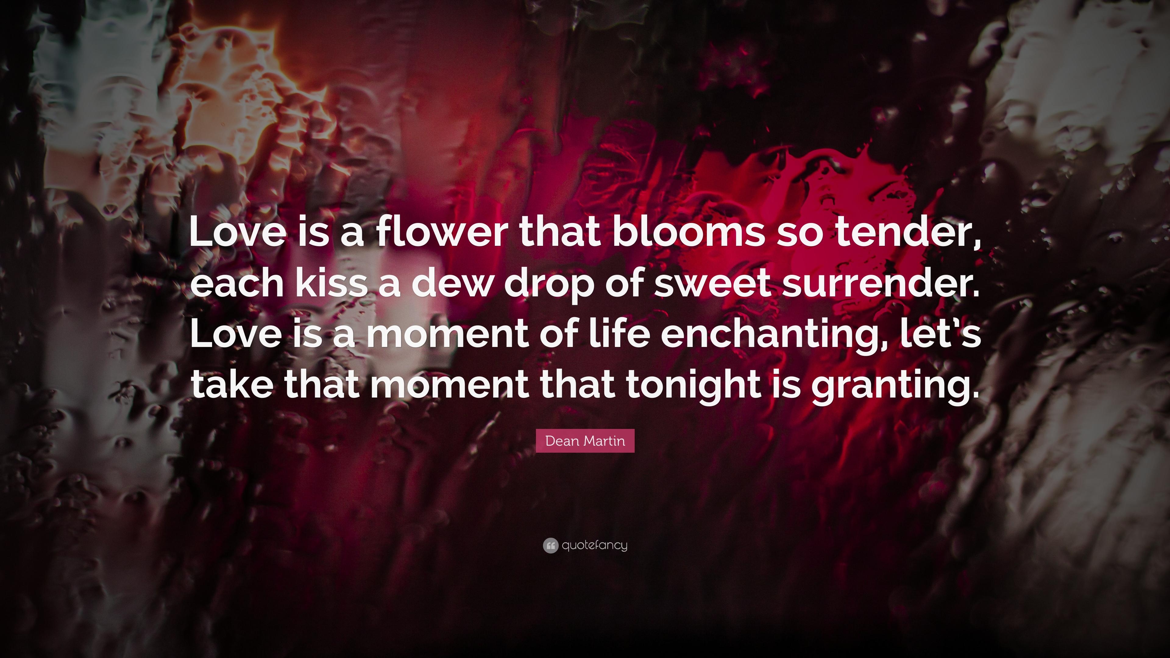 3840x2160 Dean Martin Quote: “Love is a flower that blooms so tender, each, Desktop