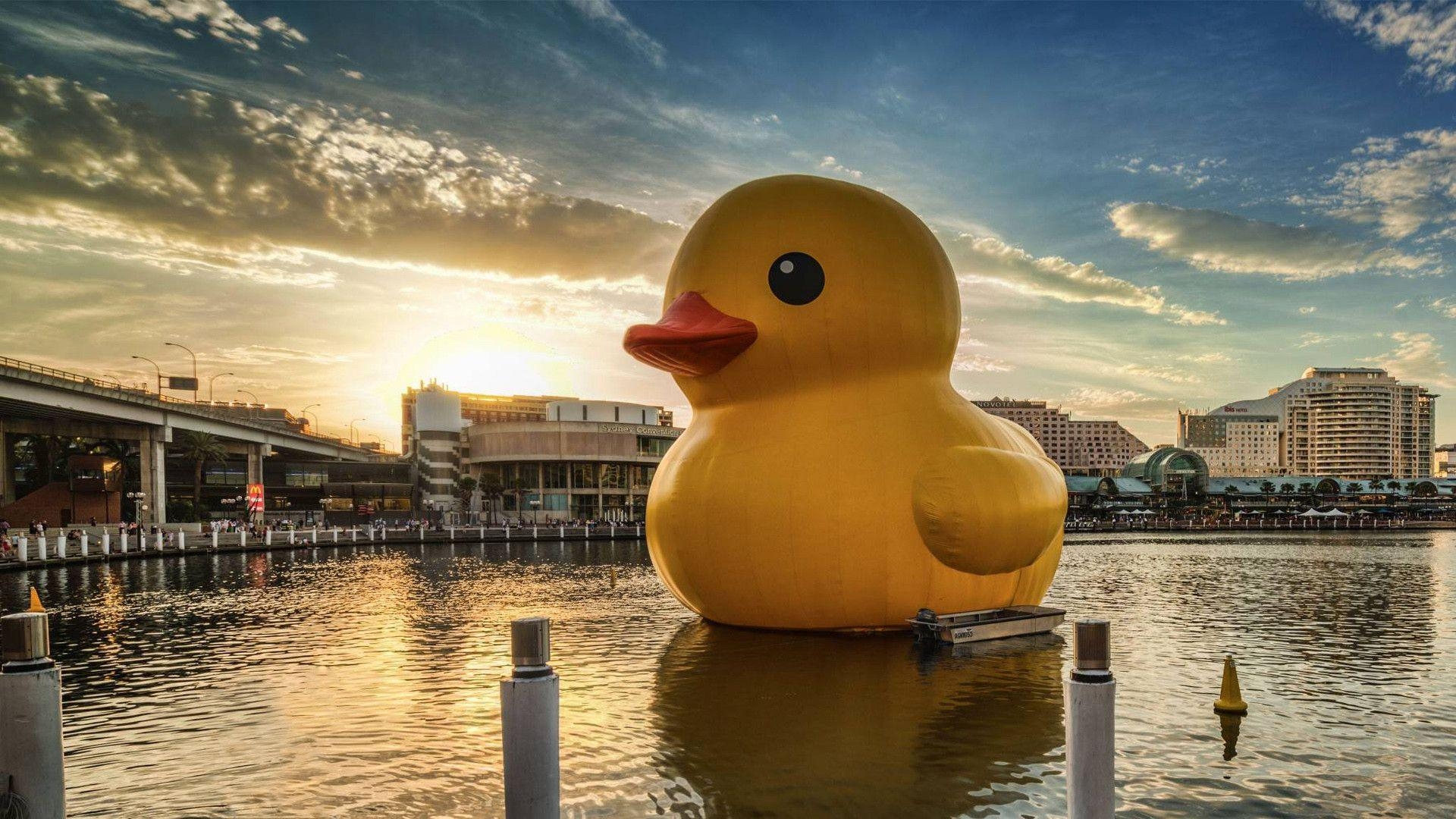 1920x1080 Giant Rubber Duck Wallpaper, Desktop