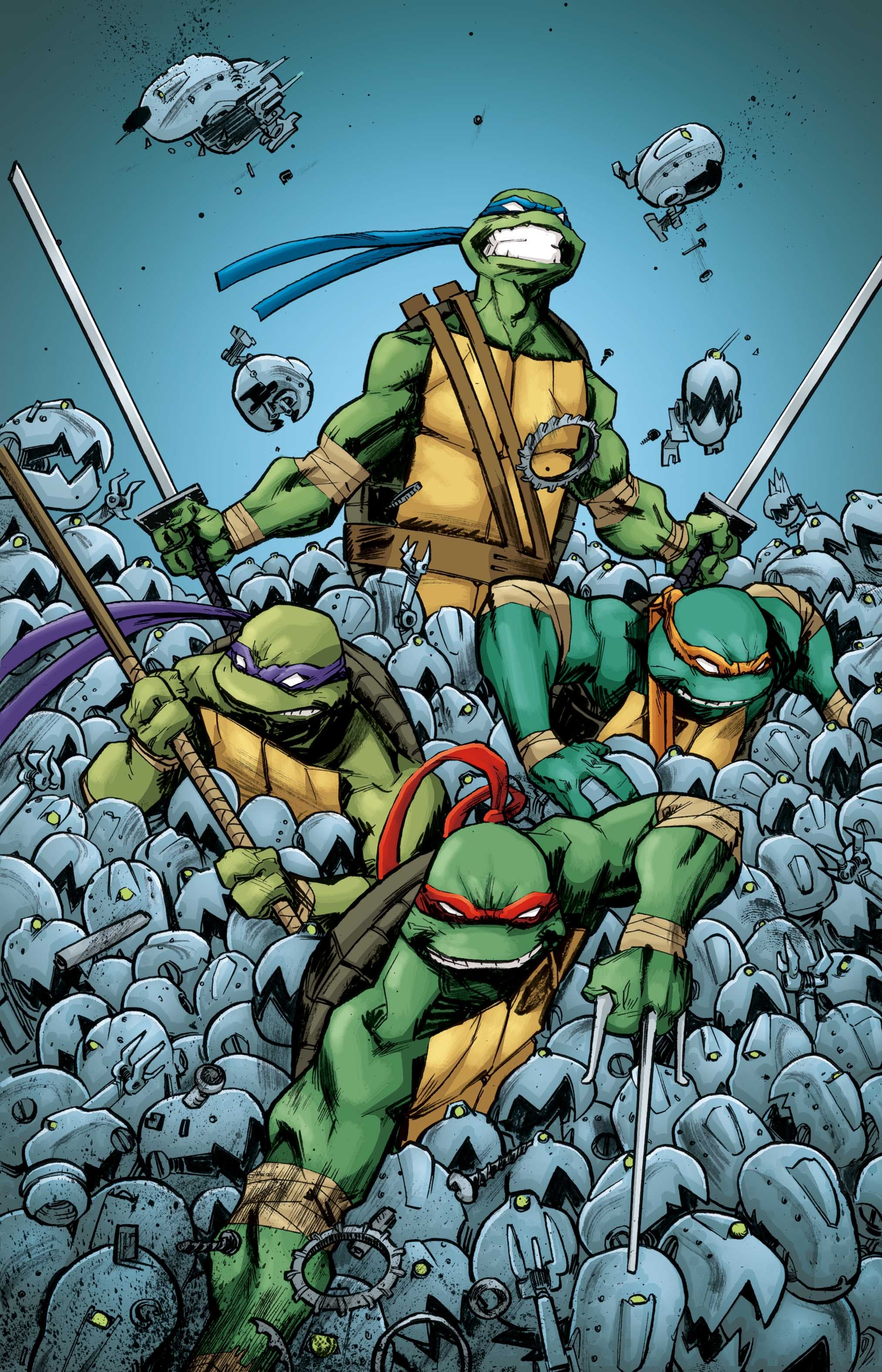 2030x3150 Teenage Mutant Ninja Turtles (TMNT) Cover a Duncan Background Image, Phone