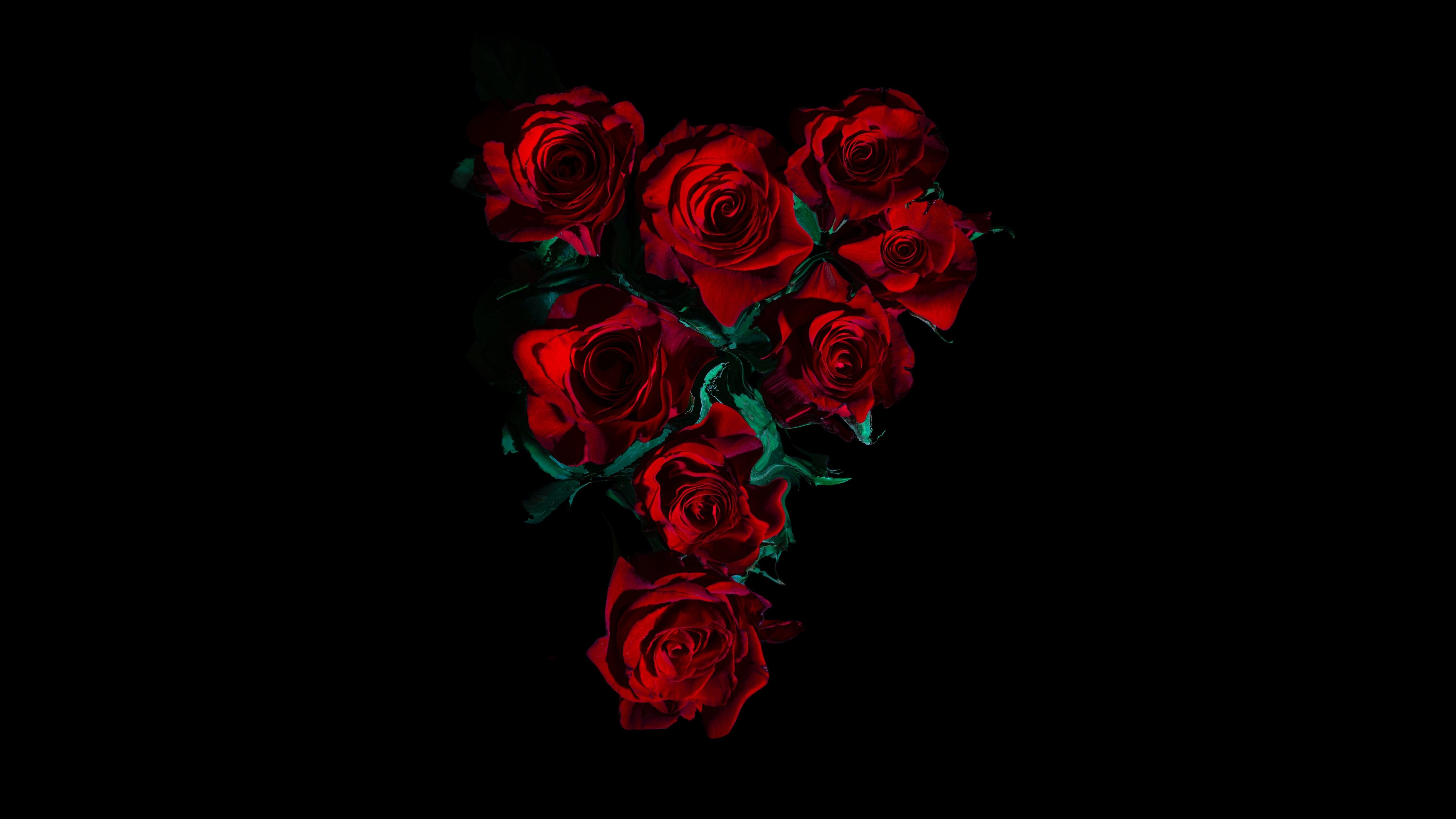 5120x2880 Red Roses 4K Wallpaper, Flower bouquet, Black background, 5K, 8K, Flowers, Desktop