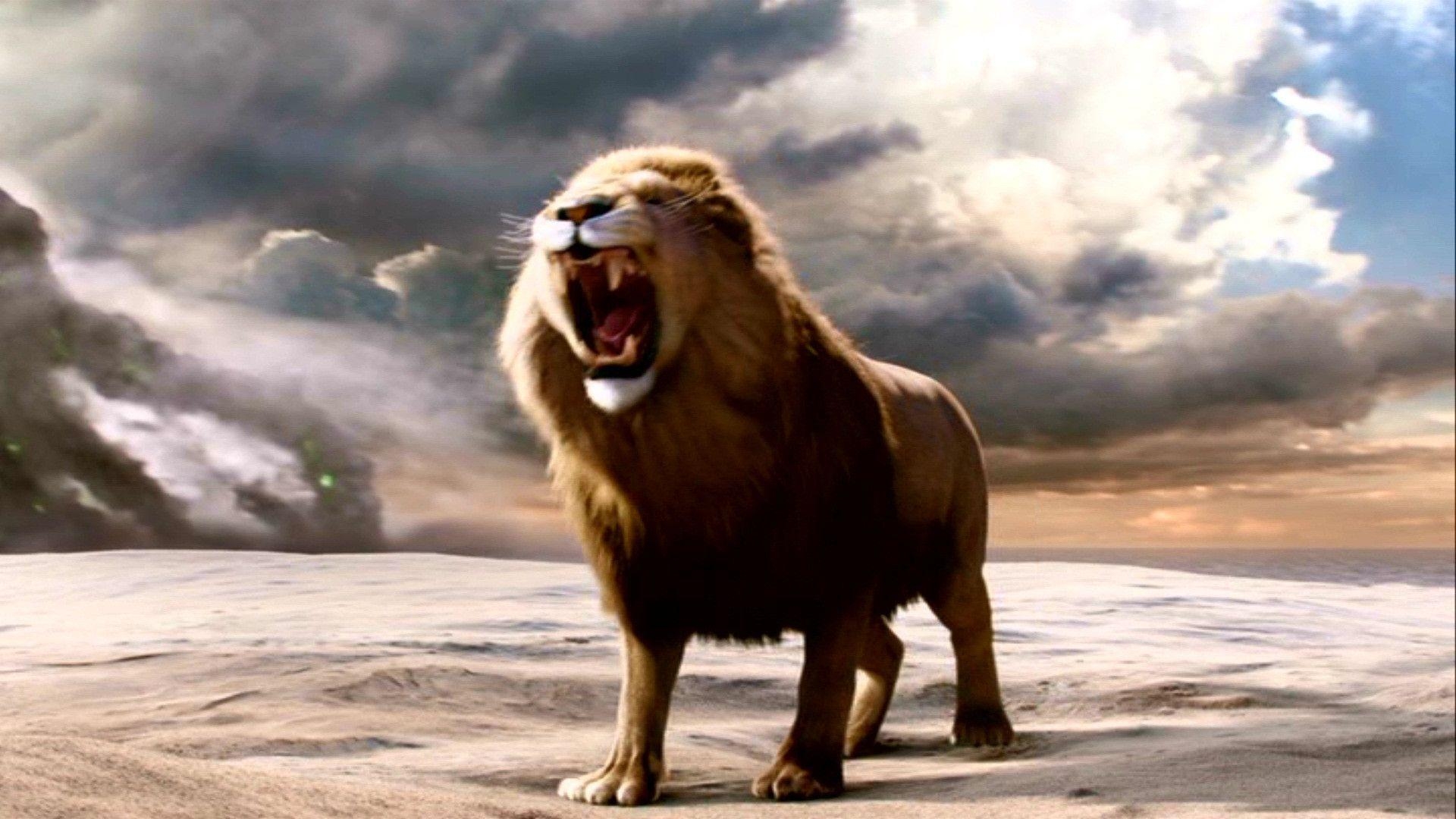 1920x1080 image For > Narnia Aslan Wallpaper, Desktop