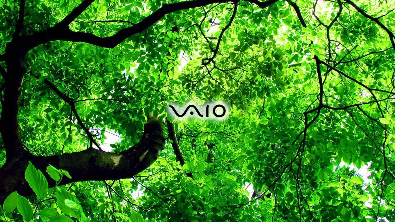 1370x770 Sony Vaio Wallpaper, Desktop