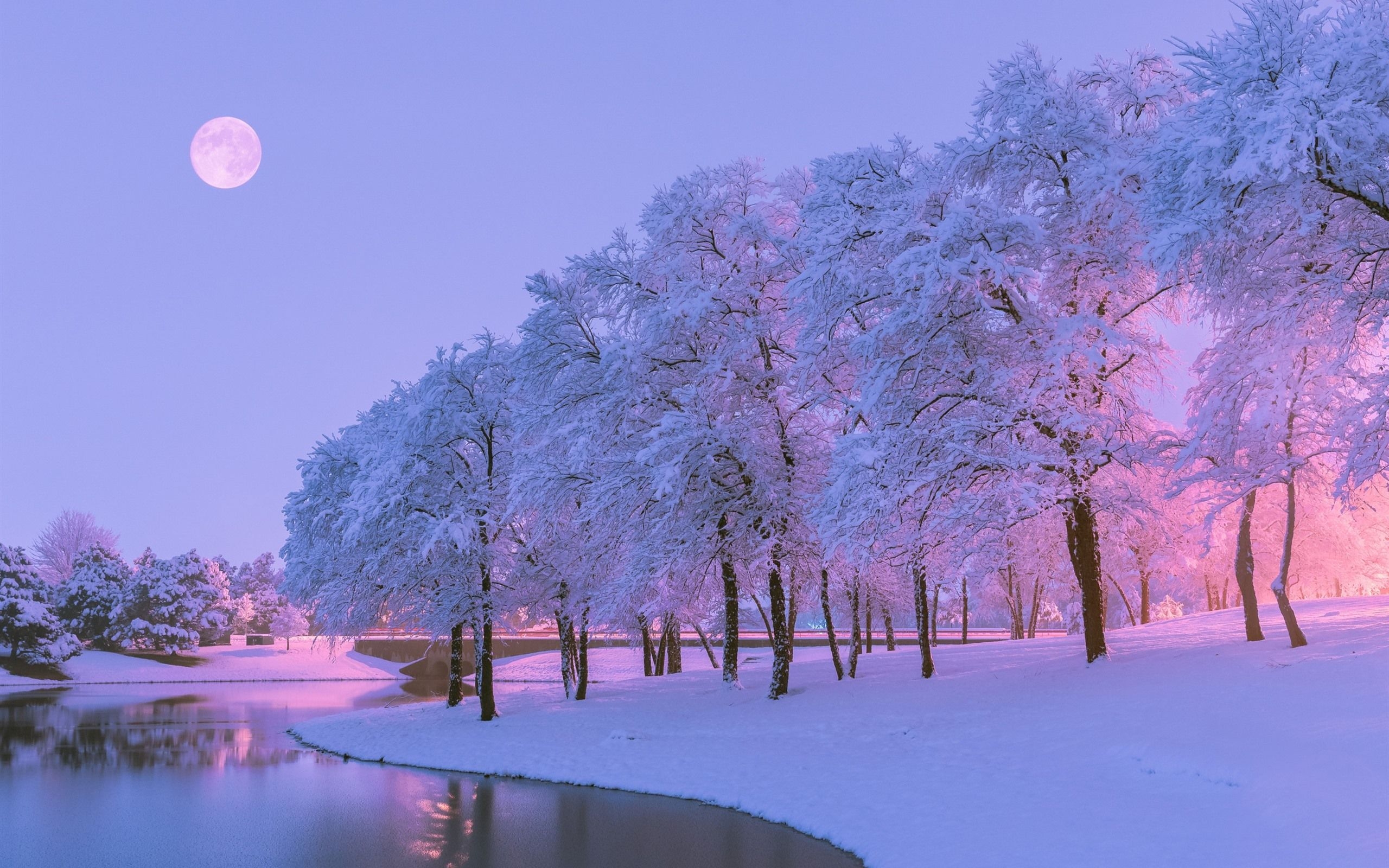 2560x1600 Wallpaper Beautiful Winter, Snow, Trees, River, Moon, Blue Pink Aesthetic, Desktop