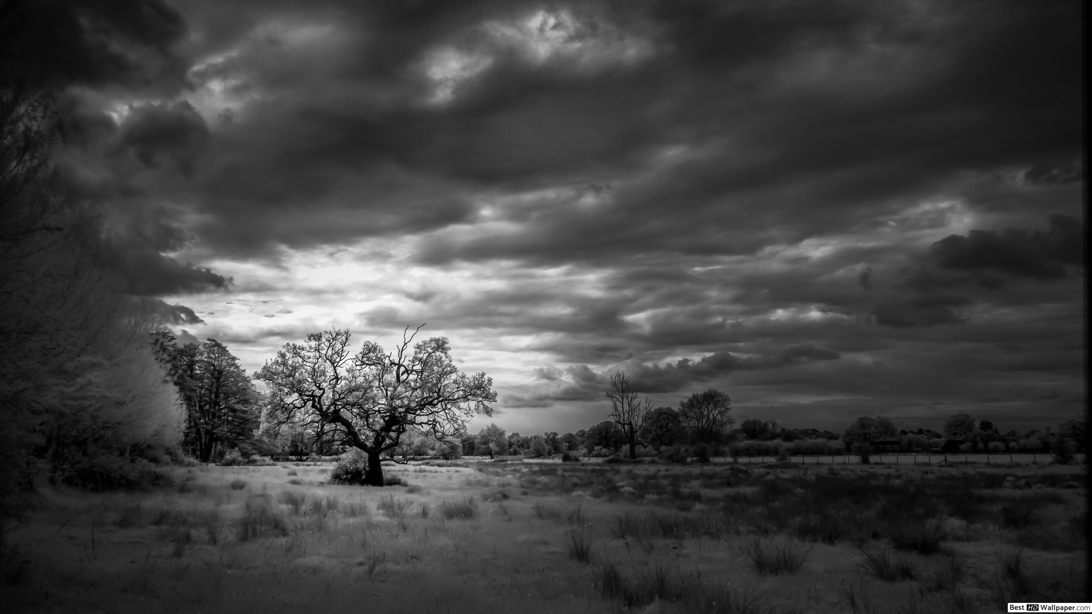 3560x2000 Black and white landscape HD wallpaper download, Desktop