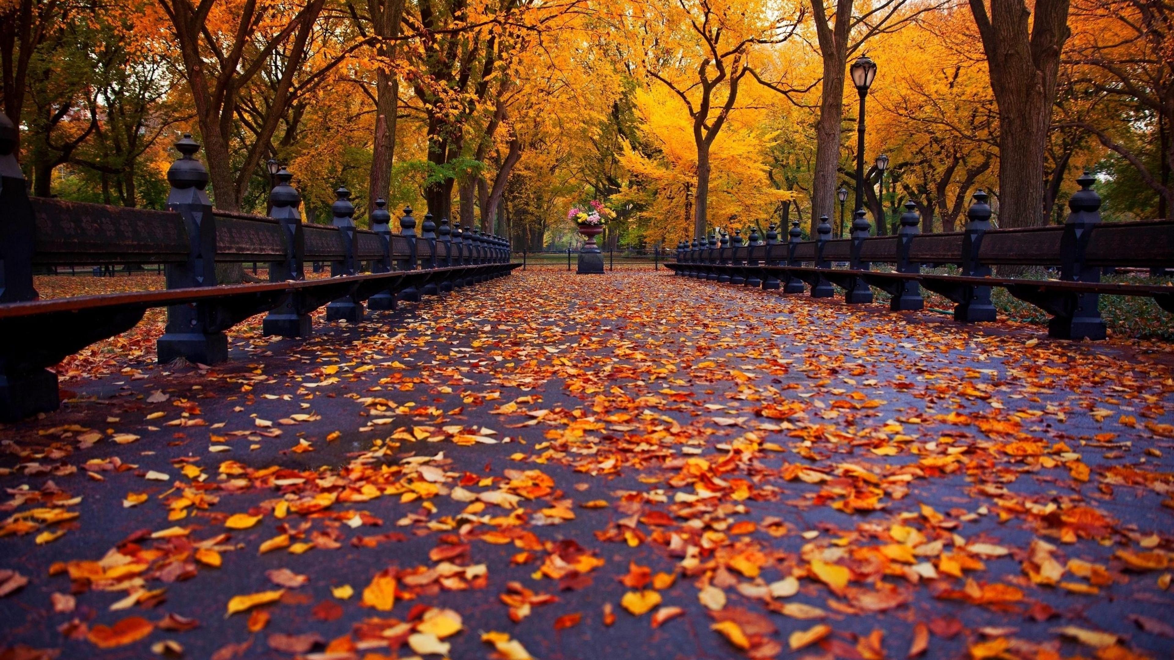 3840x2160 Autumn Aesthetic Laptop Wallpaper Free Autumn Aesthetic Laptop Background, Desktop