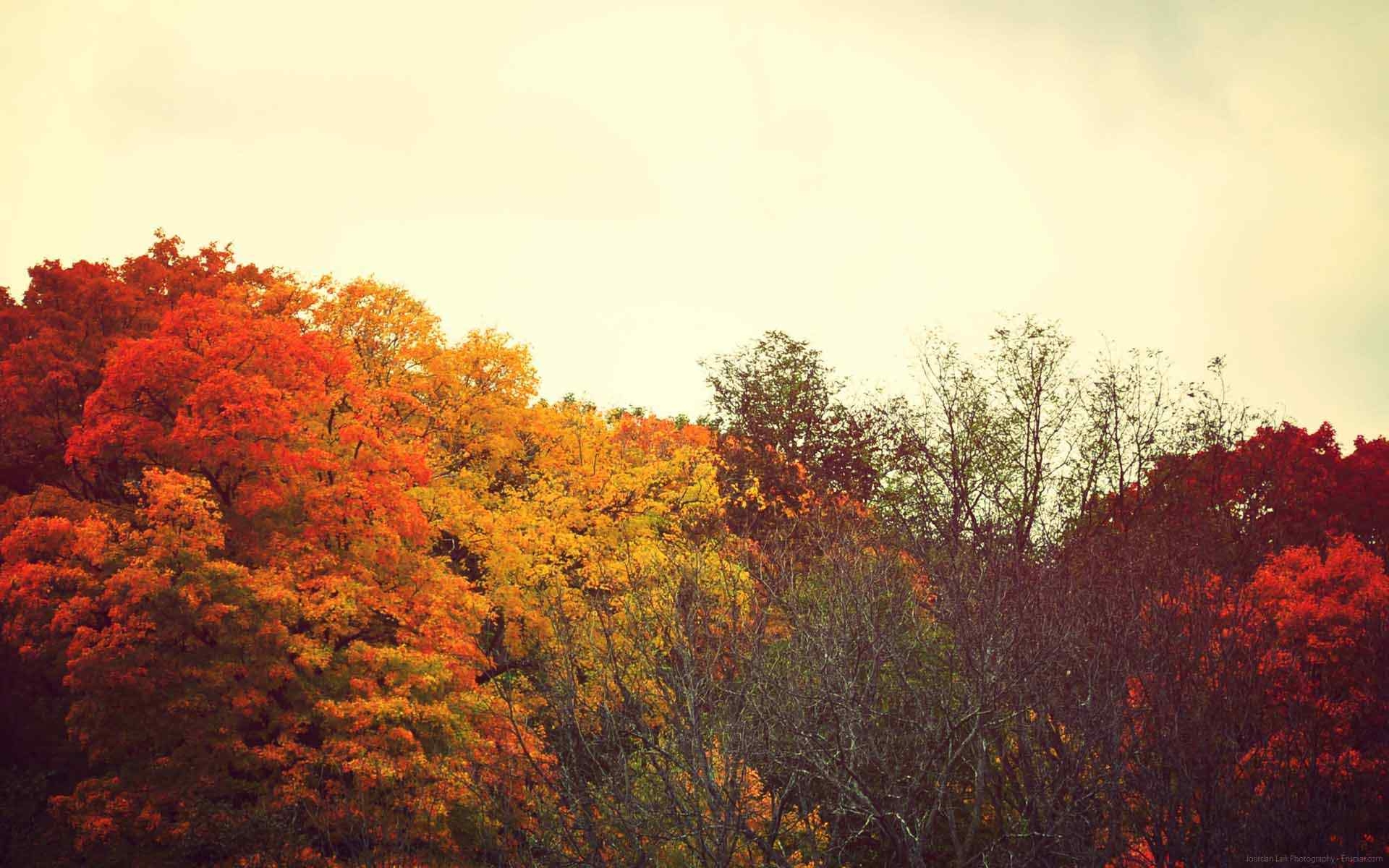 1920x1200 Cozy Autumn Aesthetic Desktop Wallpaper, Desktop