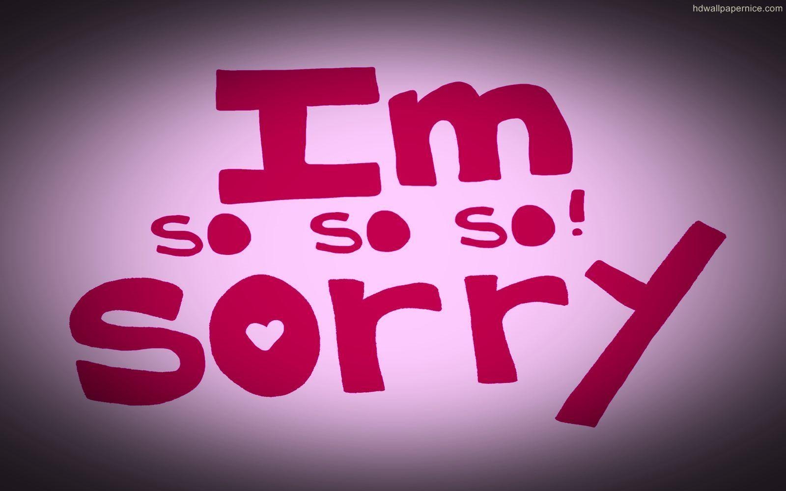 1600x1000 I Am Sorry HD Wallpaper, Desktop