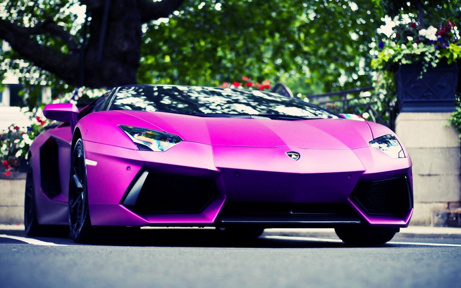 1920x1200 car, Purple, Lamborghini Wallpaper HD / Desktop and Mobile Background, Desktop