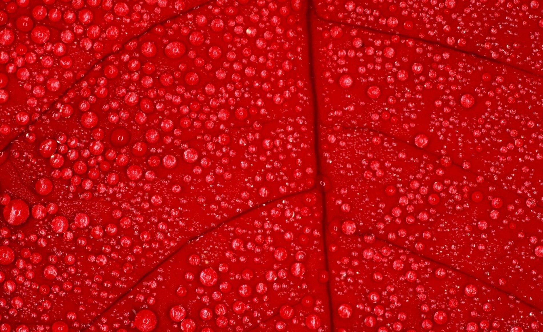 1910x1170 Red Colour Wallpaper Free Red Colour Background, Desktop