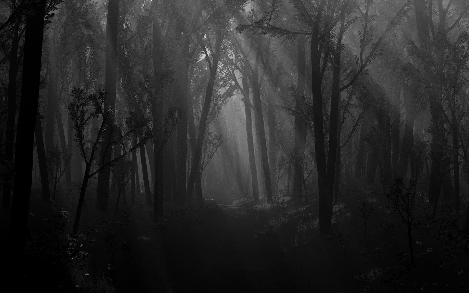 1920x1200 Forest Desktop Background, Desktop