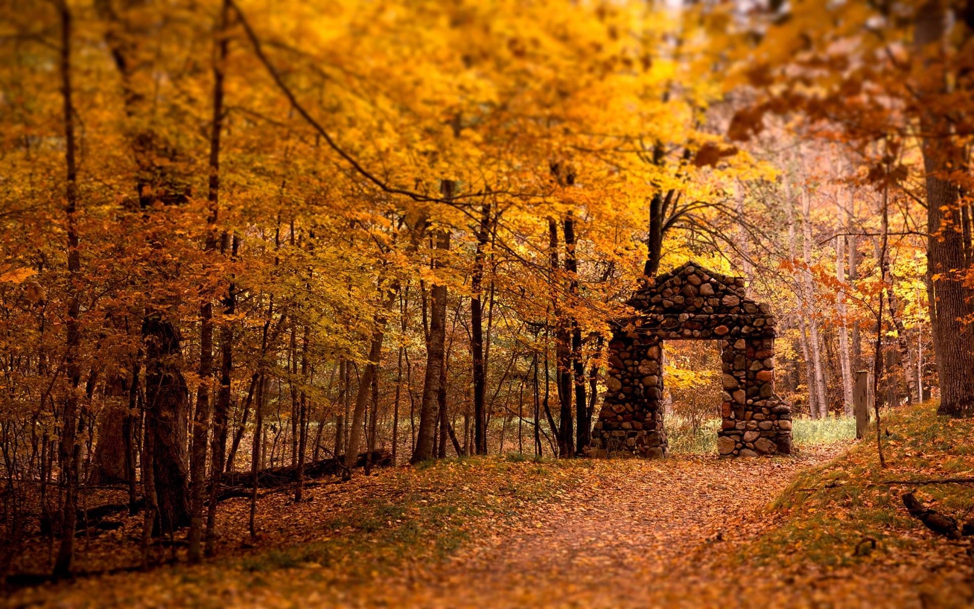 1920x1200 Fall HD Wallpaper › Findorget.com, Desktop