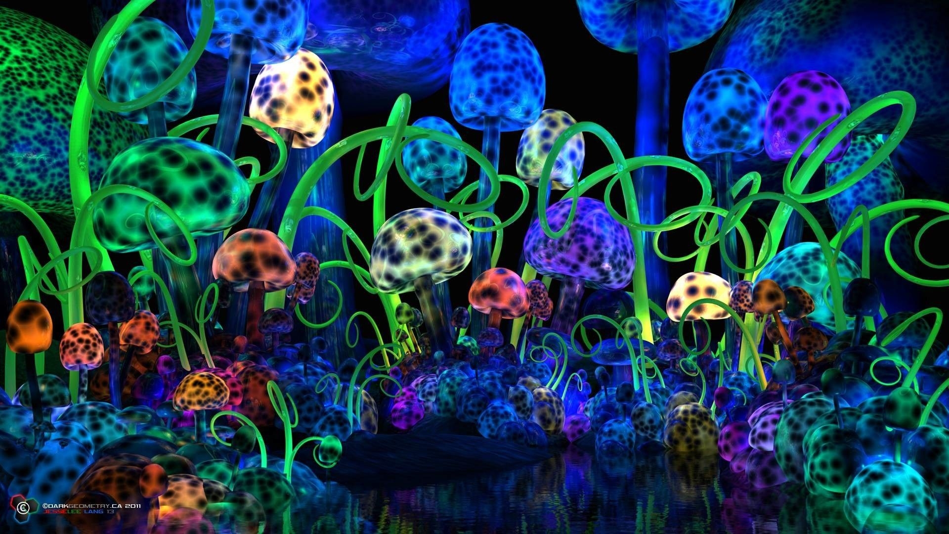 1920x1080 Shrooms Wallpaper, Desktop