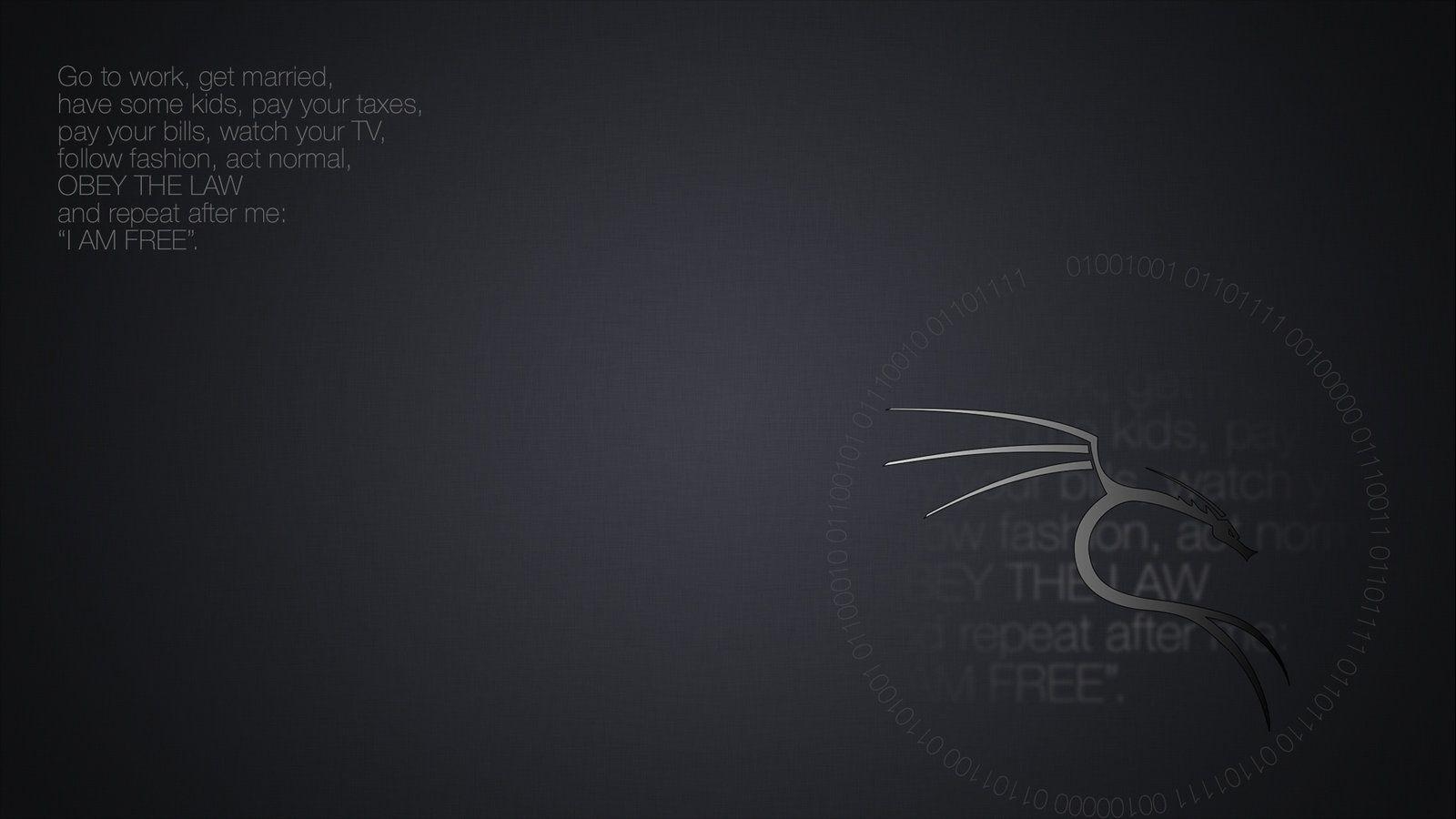 1600x900 Kali Linux Wallpaper HD, Creative Kali Linux HD Wallpaper - #WP, Desktop