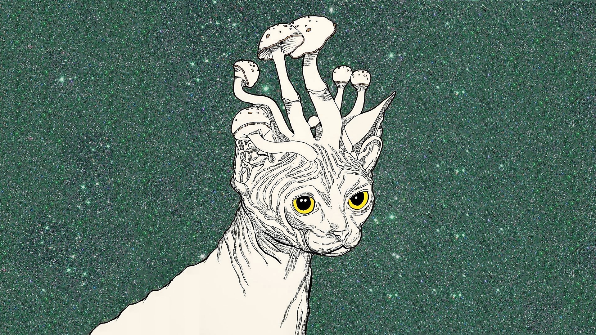 1920x1080  Trippy stoner, Cat, Mushrooms, Art wallpaper JPG Gallery HD Wallpaper, Desktop