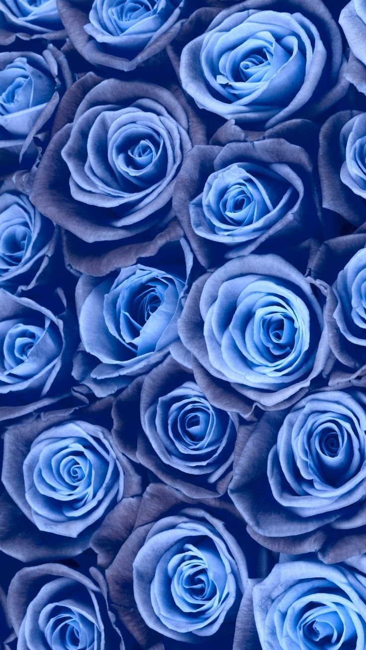 740x1310 Gorgeous Floral iPhone Xs Wallpaper. Preppy Wallpaper. Blue roses wallpaper, Floral wallpaper iphone, Blue flower wallpaper, Phone