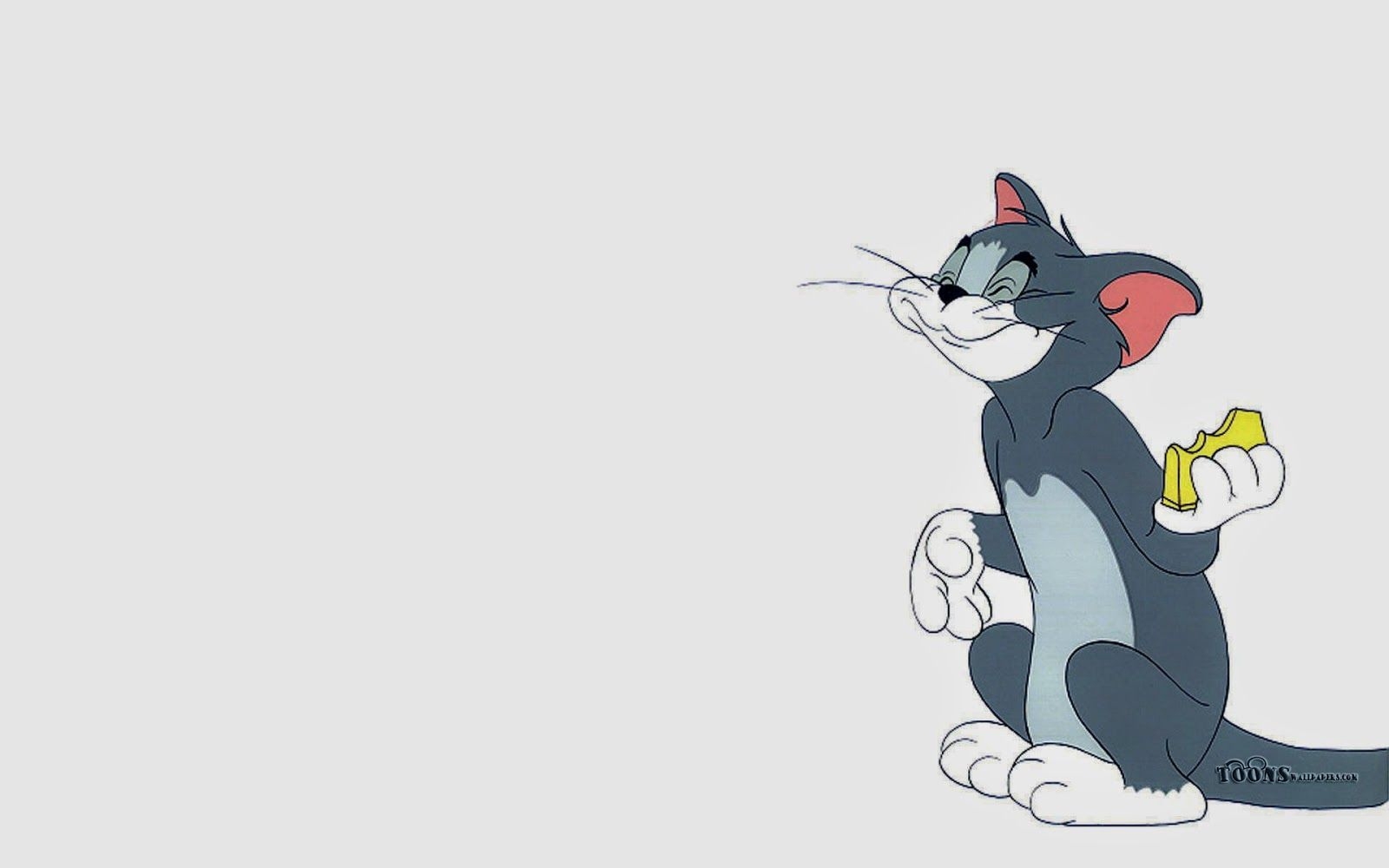 1600x1000 Wallpaper Laptop Cartoon Cat, Desktop