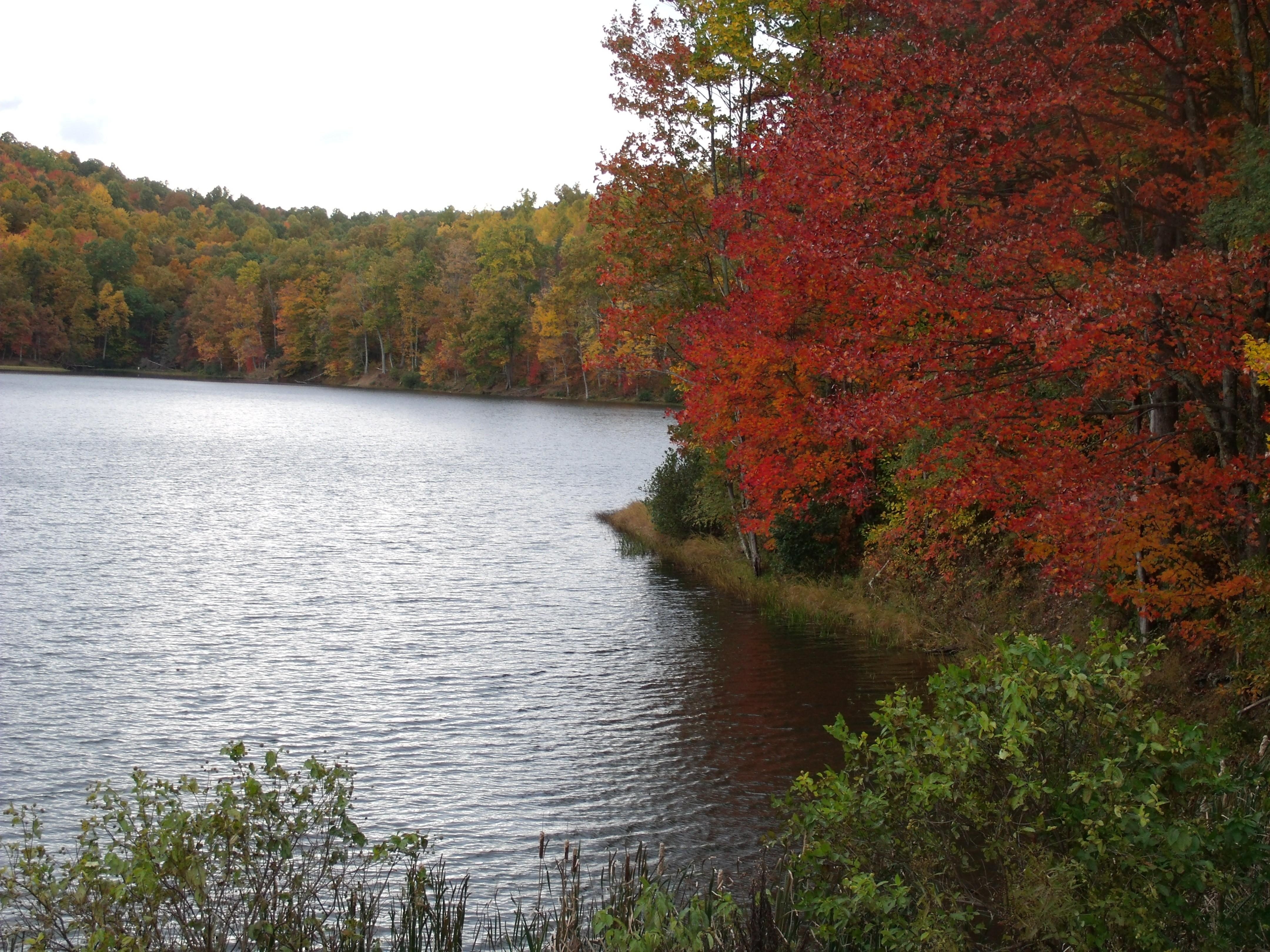 4320x3240 Lakes: Lake Color Fall Calm West Virginia Wallpaper for HD 16:9, Desktop