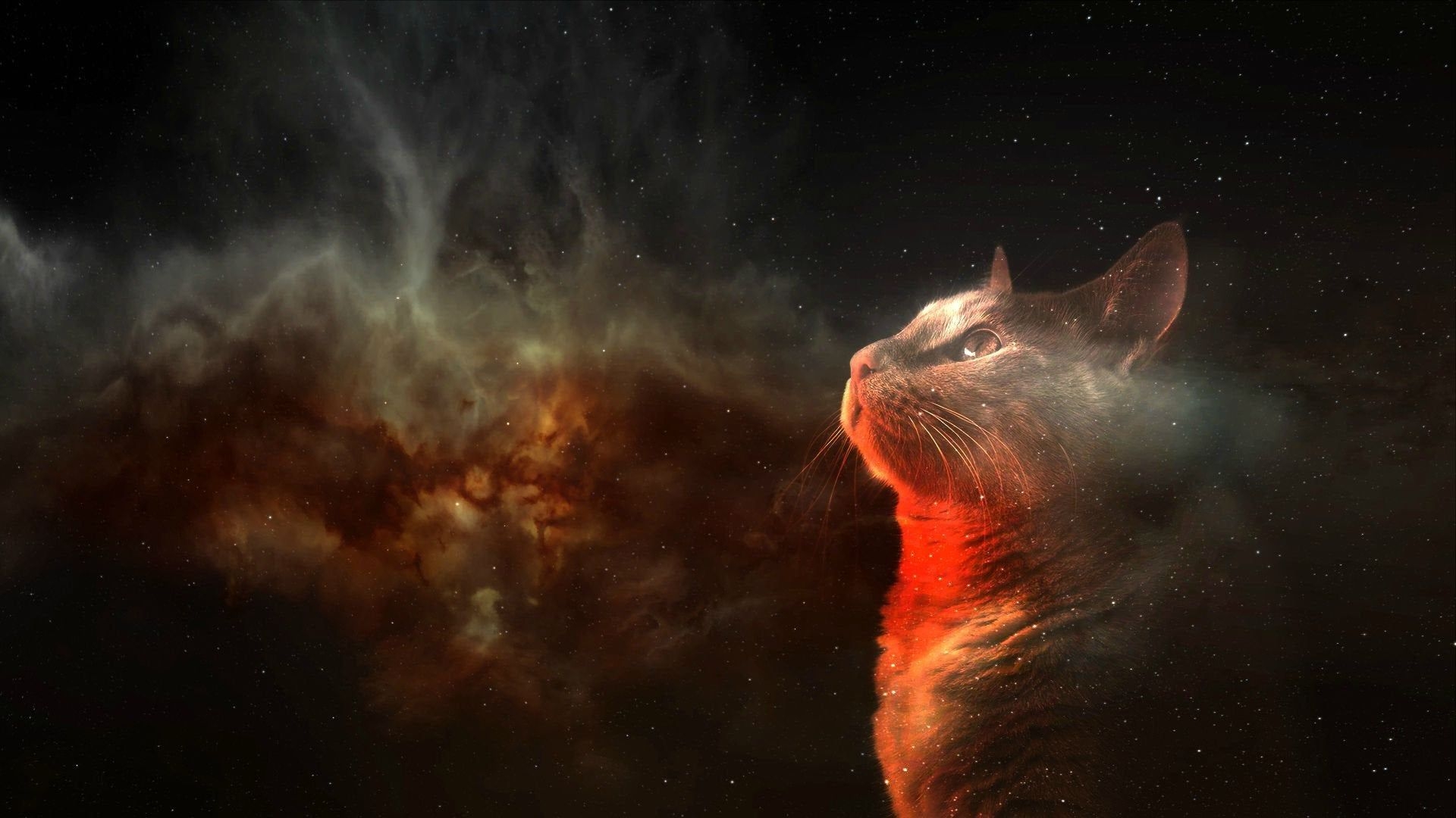 1920x1080 Cats in Space (), Desktop