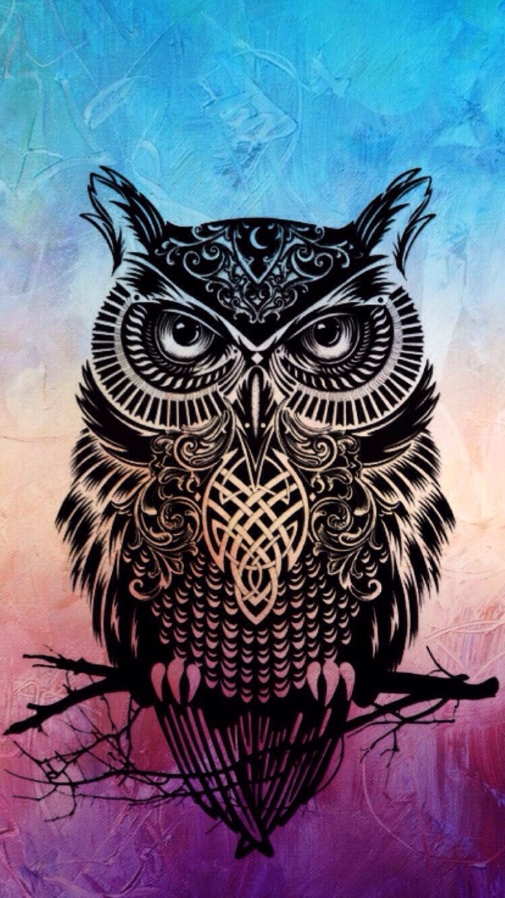 740x1310 Owl Wallpaper Free Owl Background - Owl wallpaper, Owl wallpaper iphone, Cute owls wallpaper, Phone