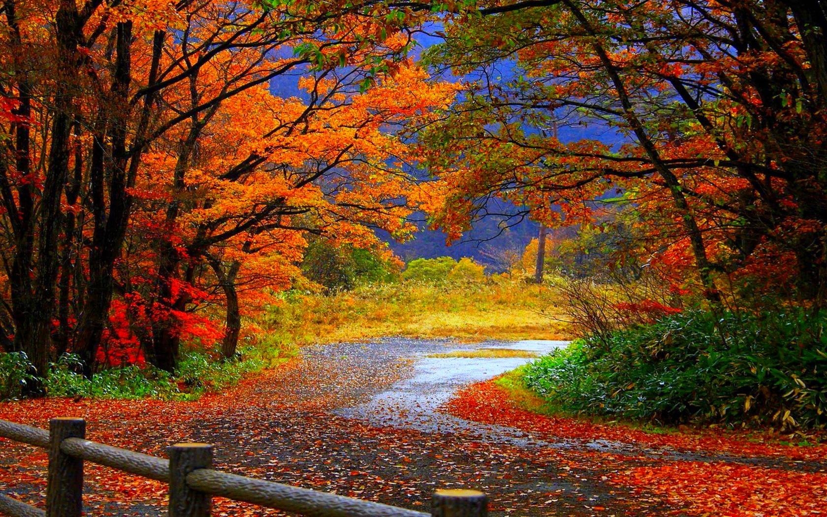 1680x1050 Fall Wallpaper HD. Bulk HD Wallpaper, Desktop