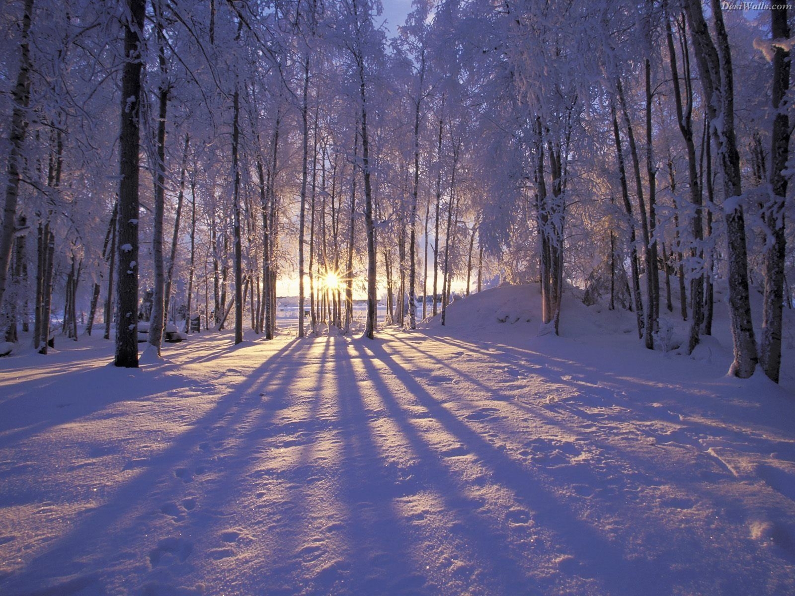 1600x1200 Winter Country Scenes Wallpaper, Desktop