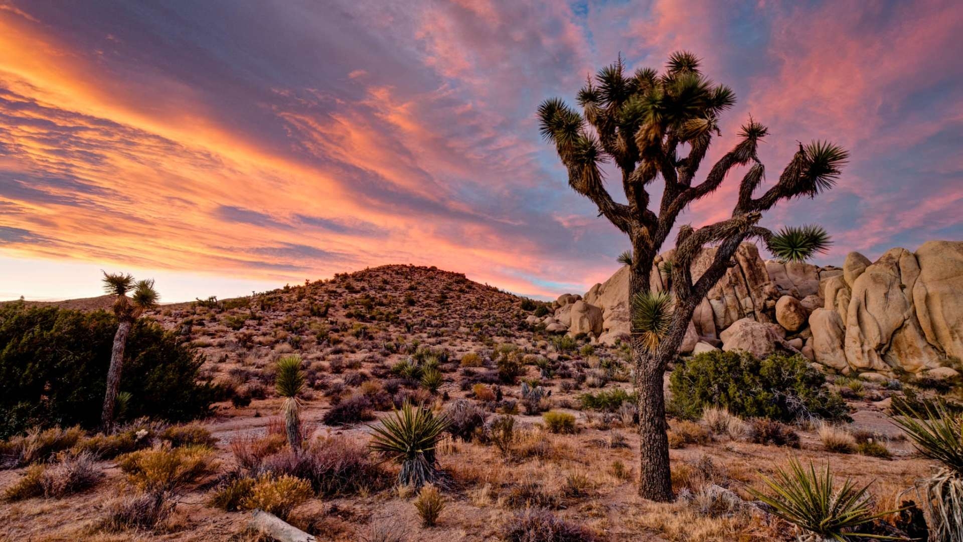 1920x1080 Landscape Wallpaper HD Joshua Tree National Park In California, Desktop