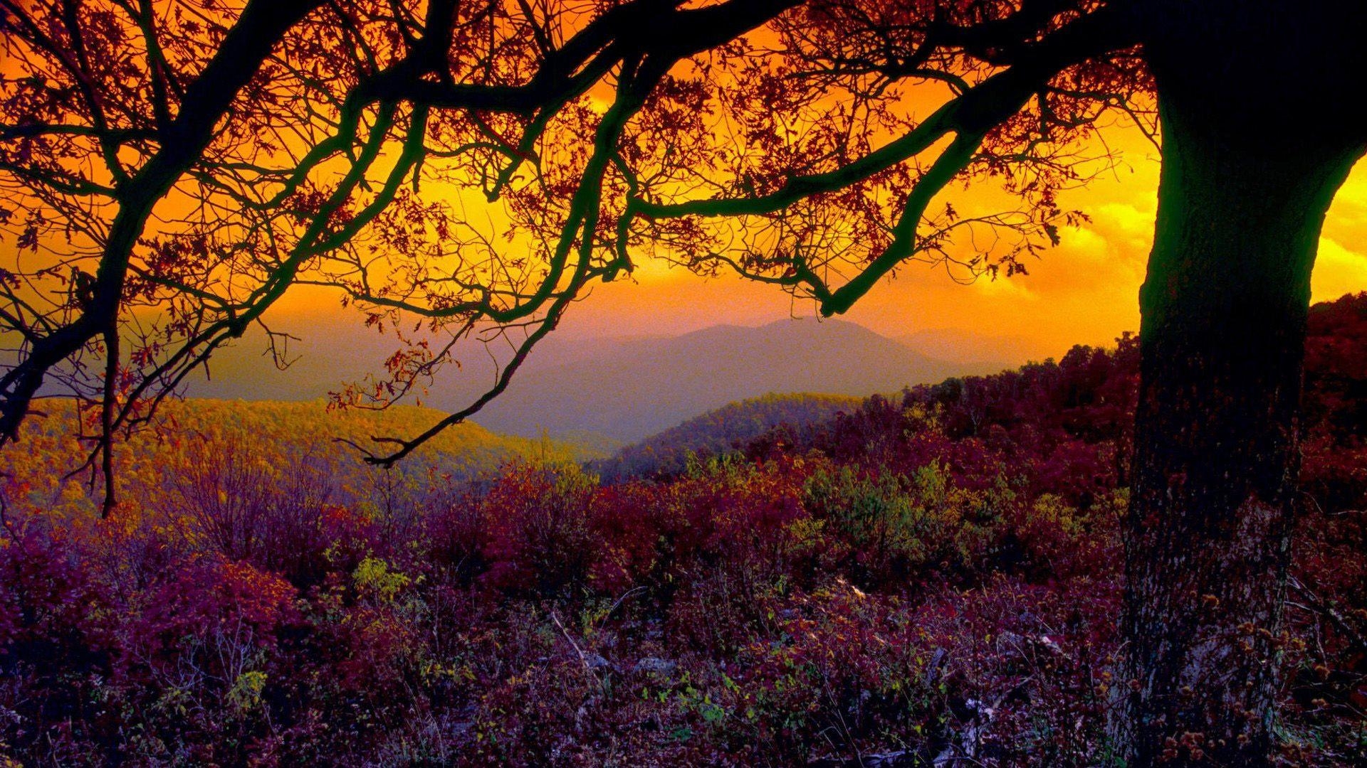 1920x1080 Best Travelling Wallpaper: Shenandoah National Park, 731216, Desktop