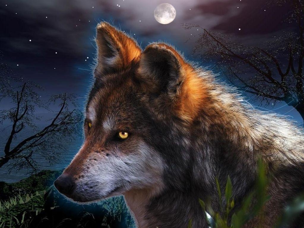 1030x770 Free download Fantasy Wolf Wallpaper HD Fantasy wallpaper wolf, Desktop