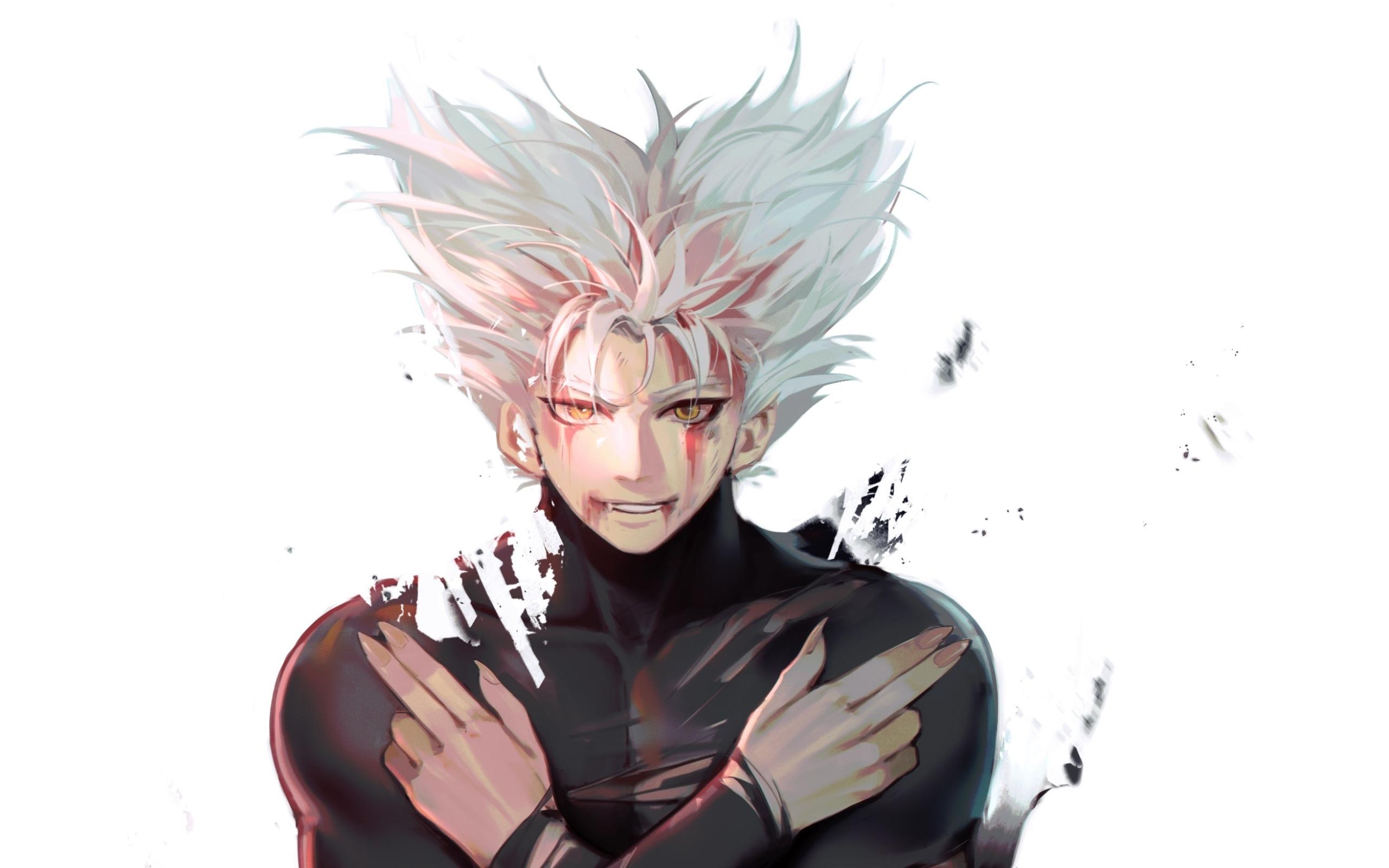 2560x1600 Anime, Garou, One Punch Man, Blood Wallpaper, Desktop