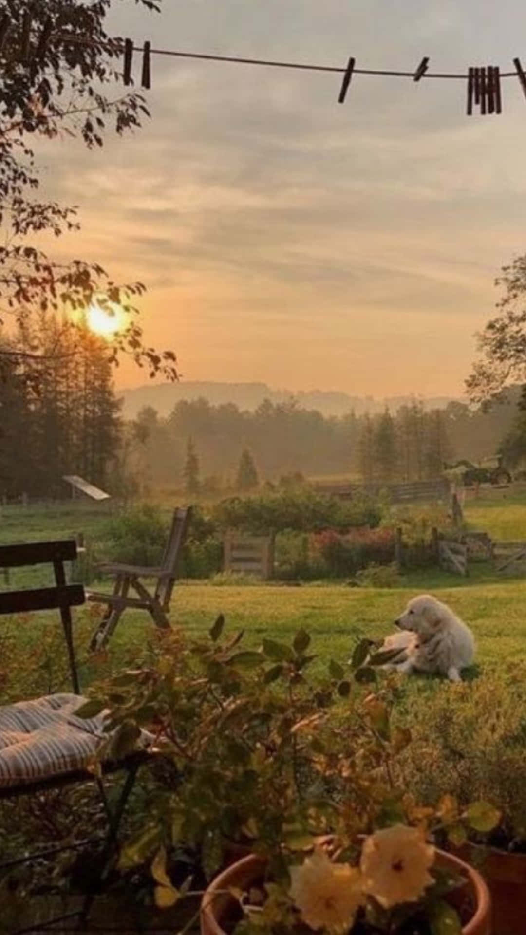 1080x1920 Download A peaceful vision of Cottagecore beauty, Phone
