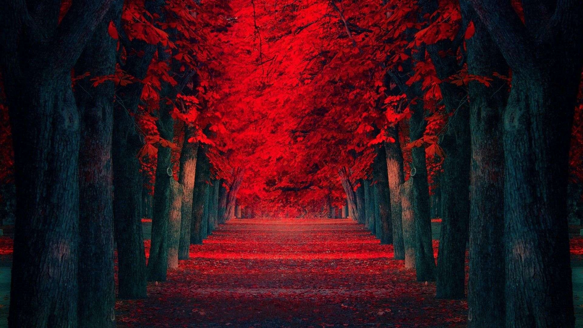 1920x1080 Red And Black Japanese Wallpaper, Desktop