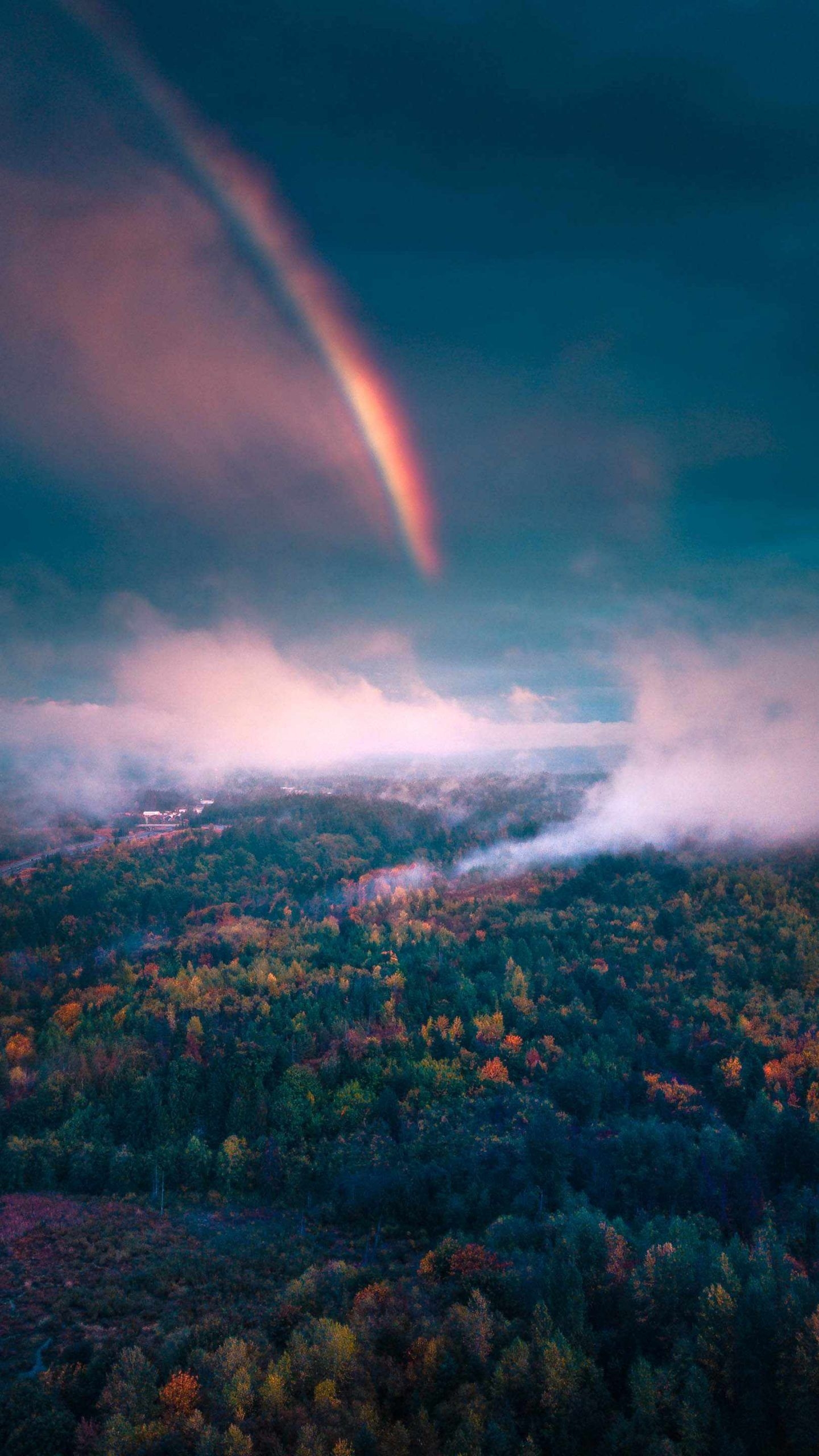 1440x2560 Nature Rainbow Forest Morning Mist iPhone 11 Wallpaper, Phone