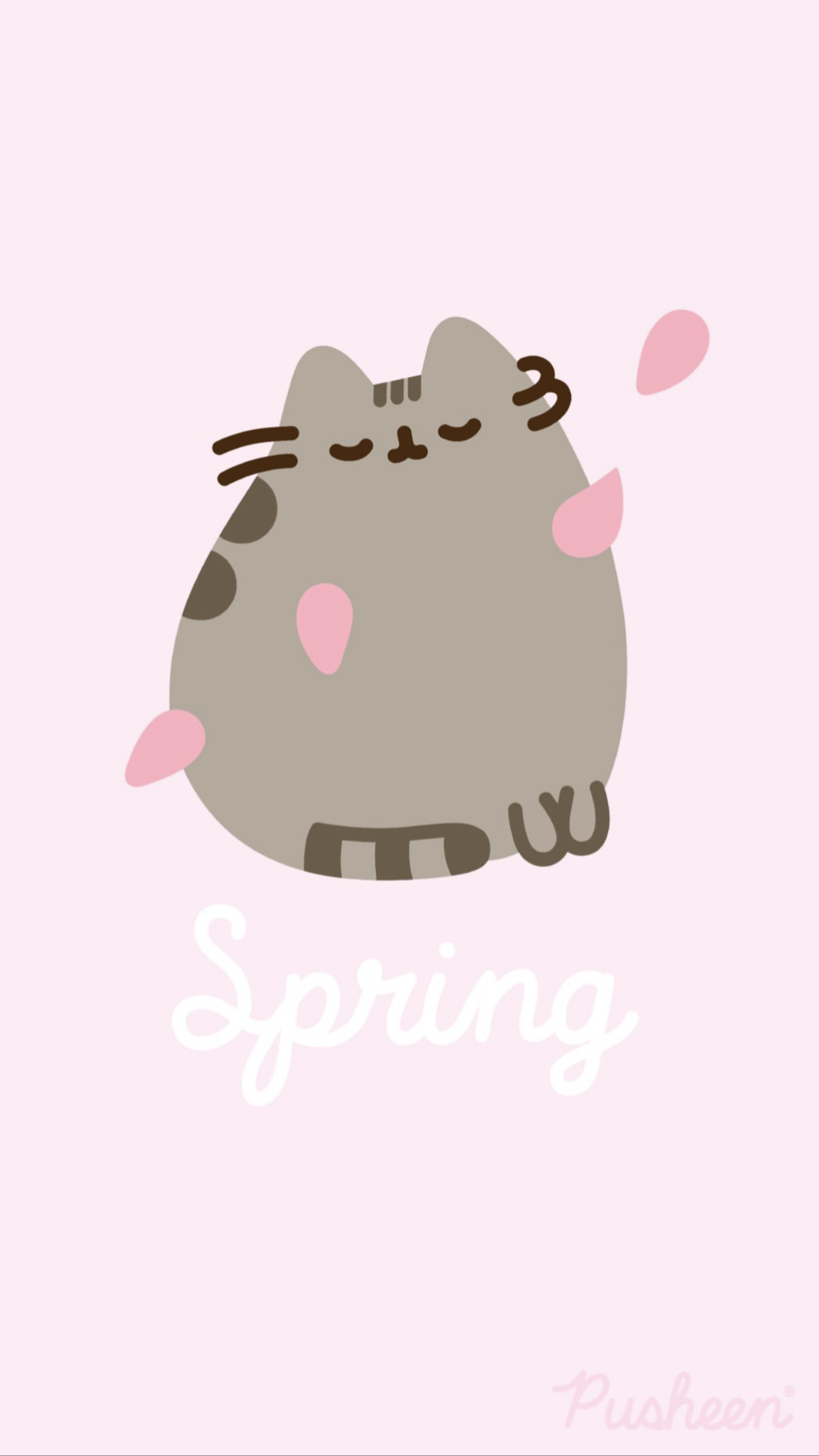 1250x2210 Spring Cat iPhone Wallpaper Free Spring Cat iPhone, Phone