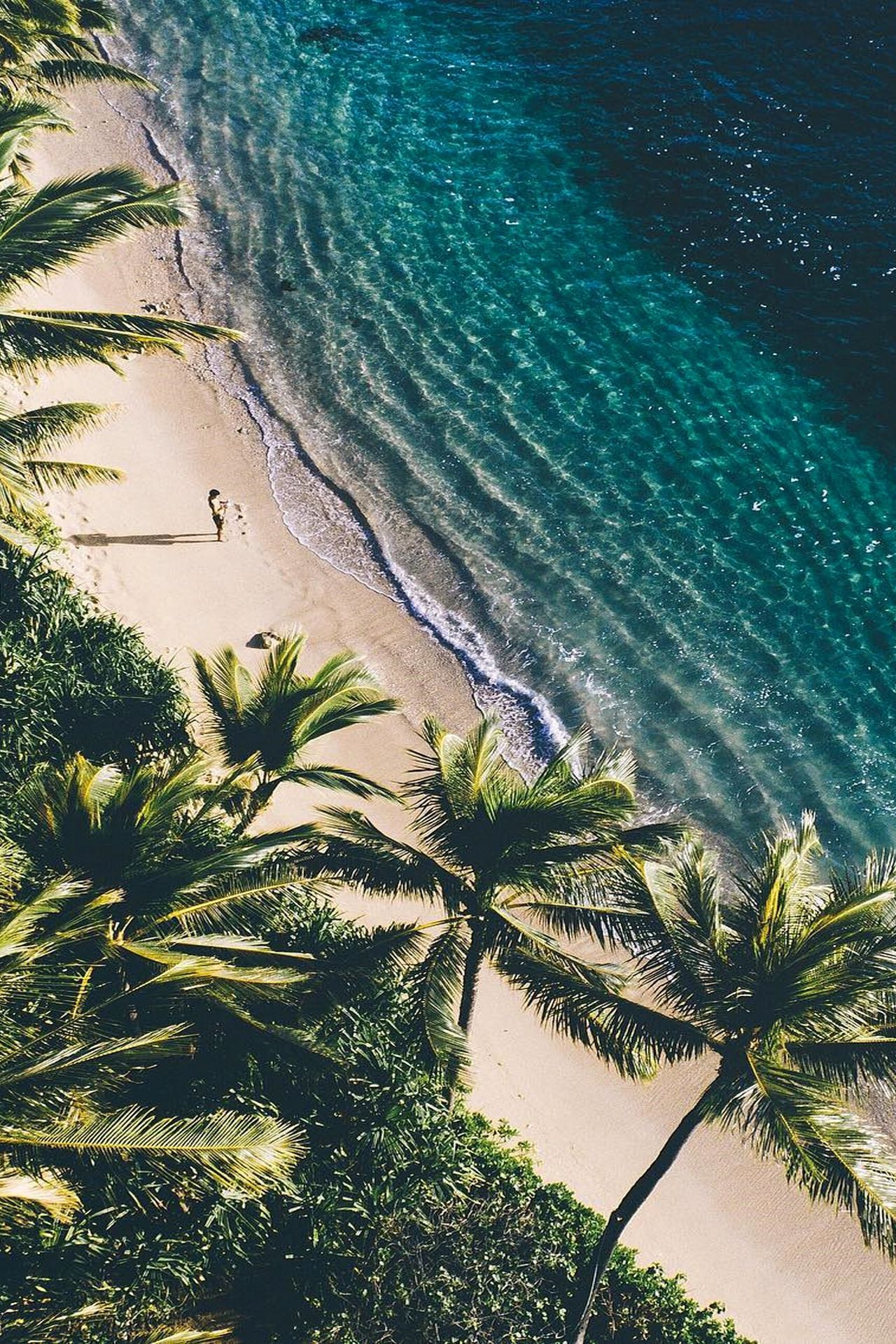 1280x1920 Tropical Aesthetic Wallpaper, Phone