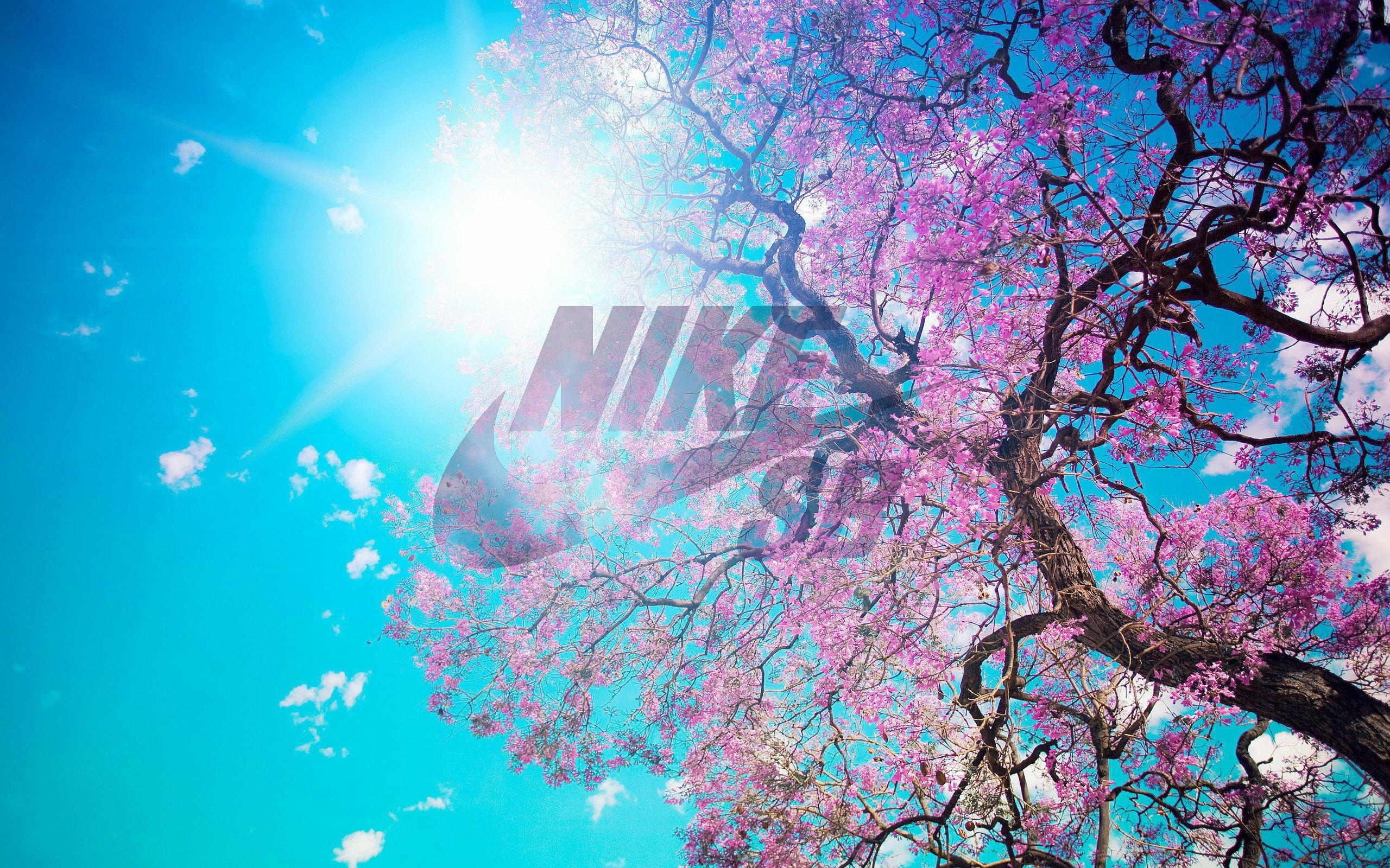 2560x1600 Nike Sb Wallpaper, Desktop