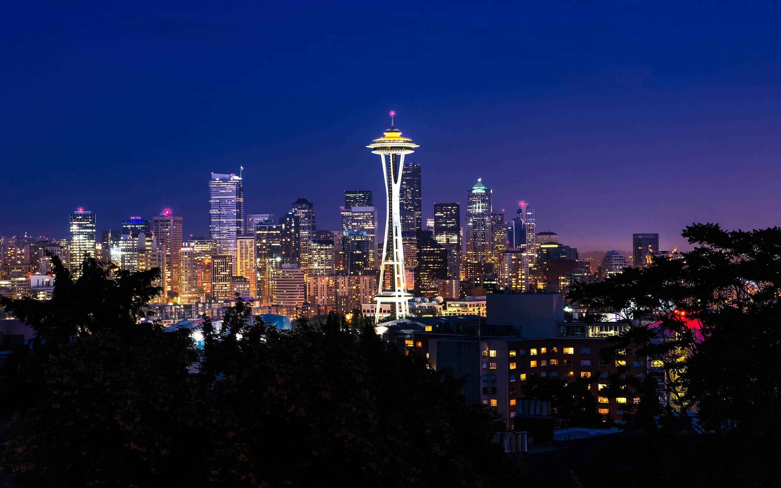 2560x1600 Seattle Skyline Wallpaper Seattle Skyline Wallpaper, Desktop