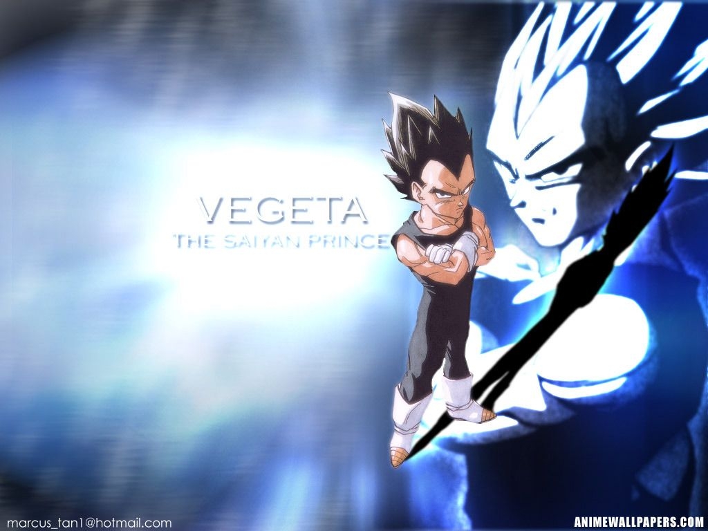 1030x770 Wallpaper, Vegeta Wallpaper HD, Goku.wallpaperafari.com, Desktop