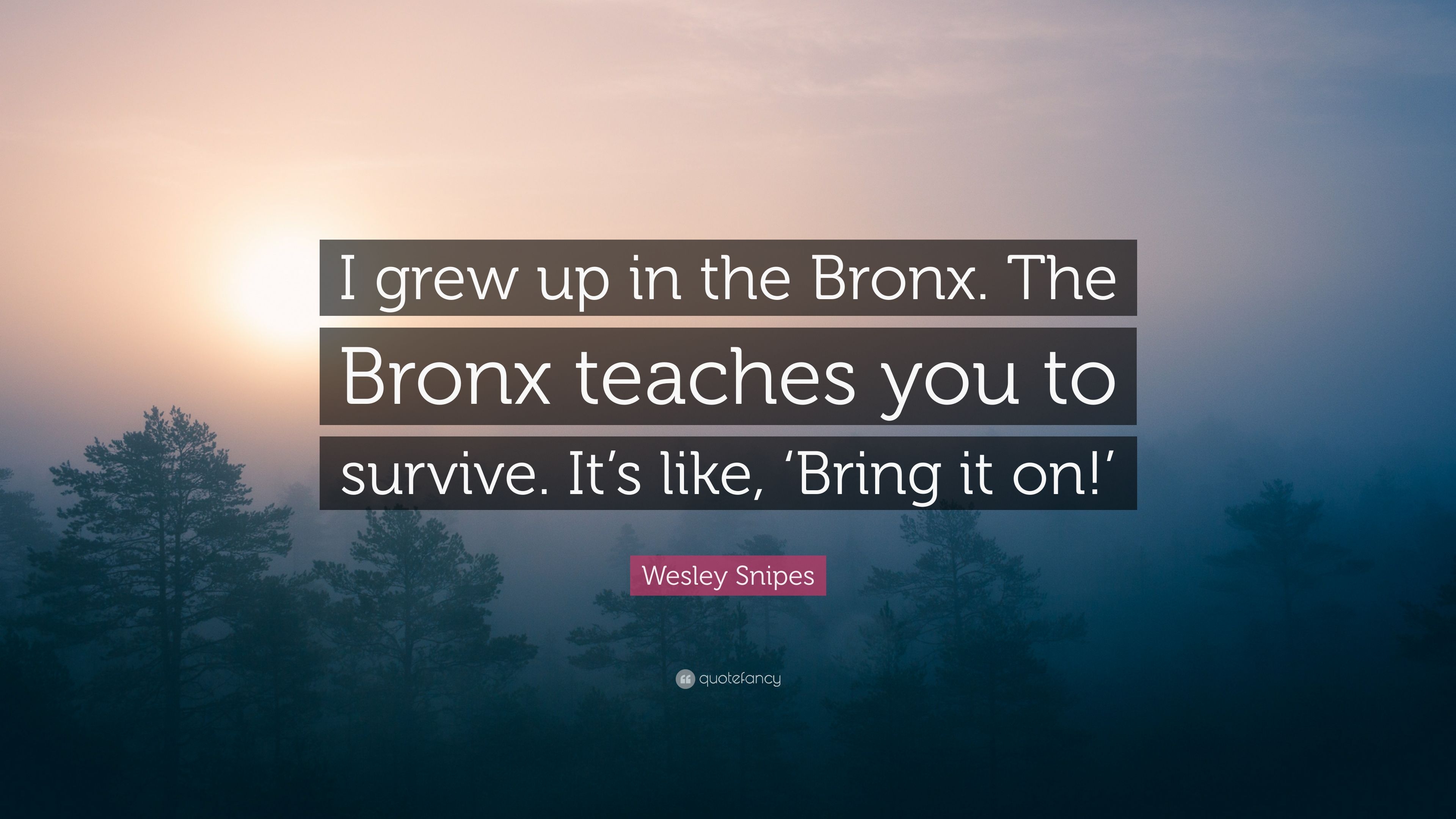 3840x2160 Wesley Snipes Quote: “I grew up in the Bronx. The Bronx teaches, Desktop