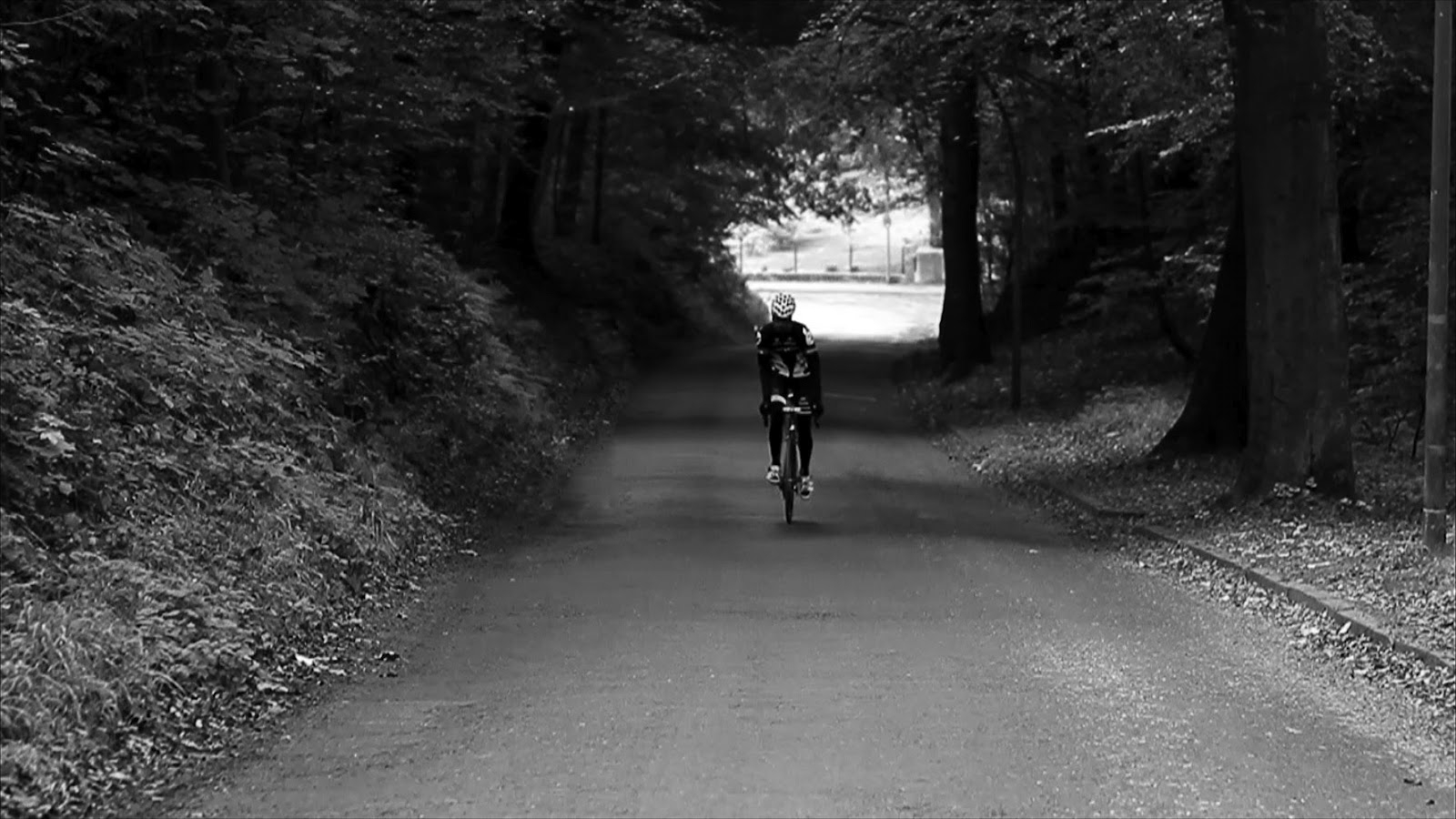 1600x900 rennrad wallpaper, black, cycling, black and white, bicycle, tree, Desktop