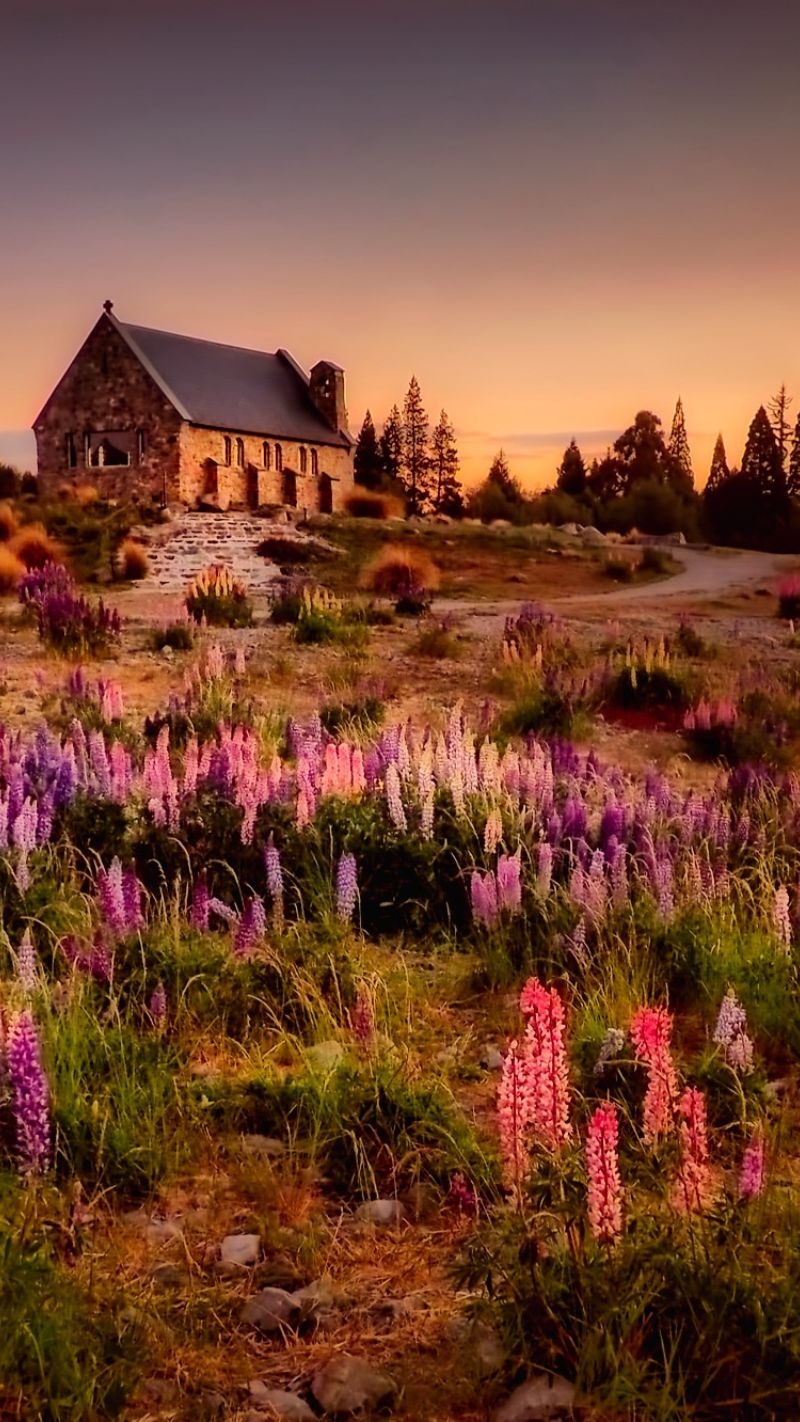 800x1430 Cottagecore iPhone Wallpaper (Free to download), Phone
