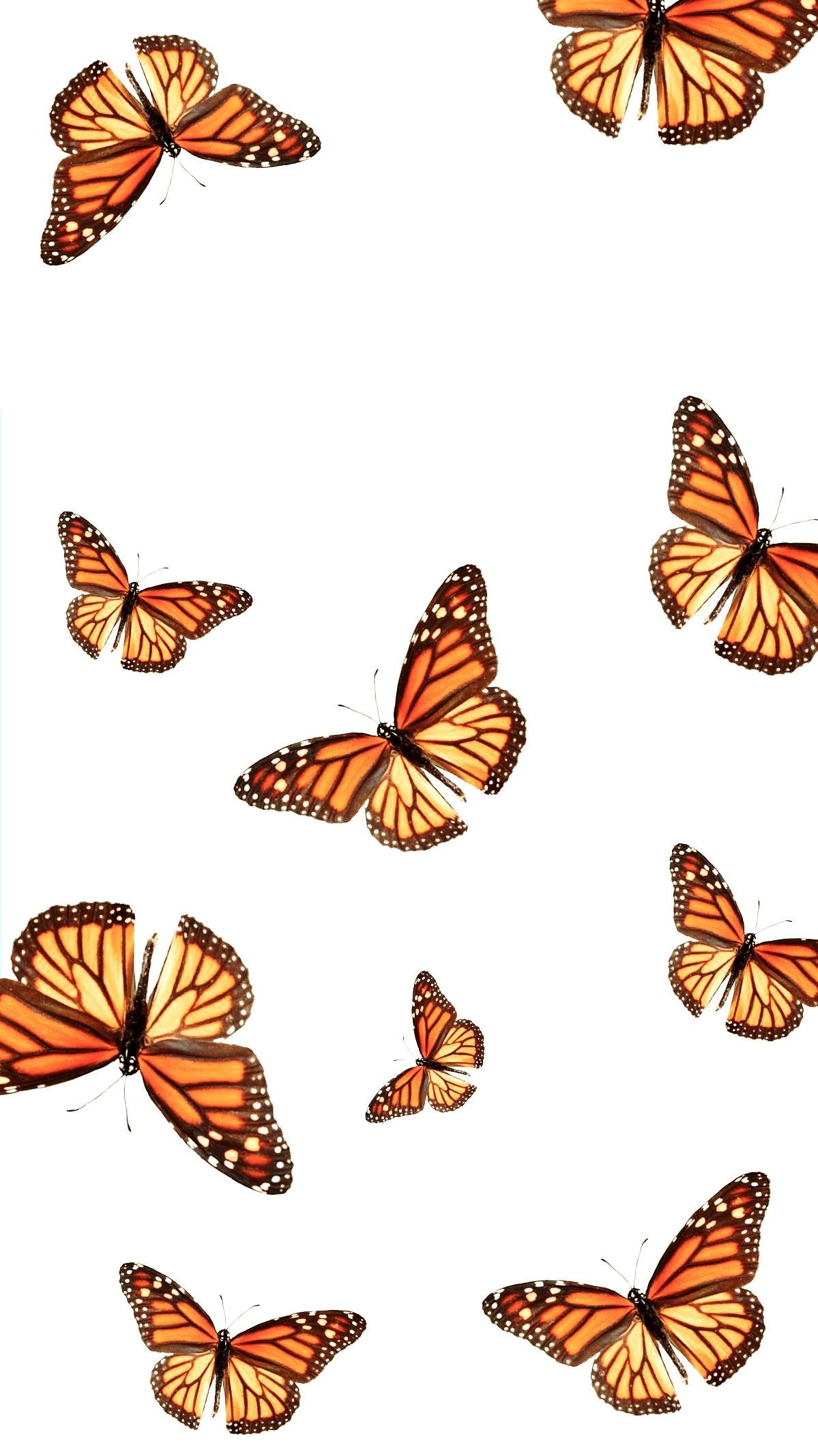 1200x2140 ➵ for more! ✰. Butterfly wallpaper iphone, Phone