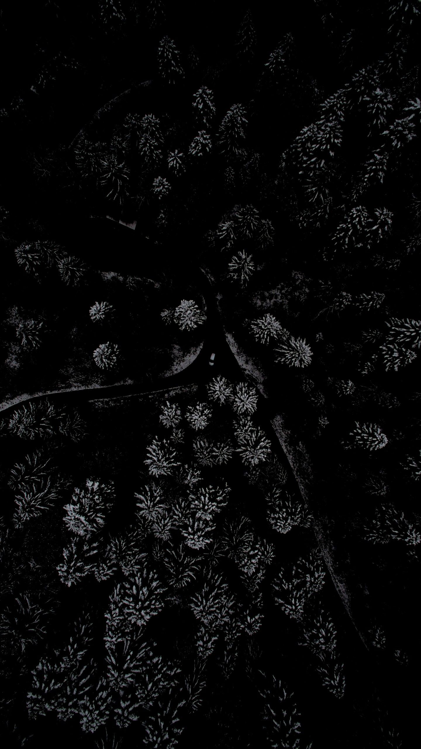 1440x2560 IPhone Wallpaper. Black, Darkness, Monochrome, Pattern, Black And, Phone