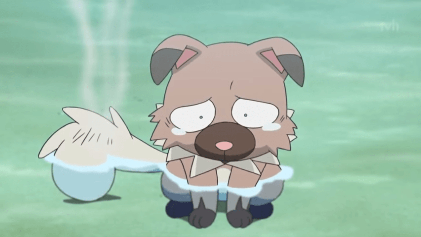 1600x900 Rockruff. PokéCommunity Daily, Desktop