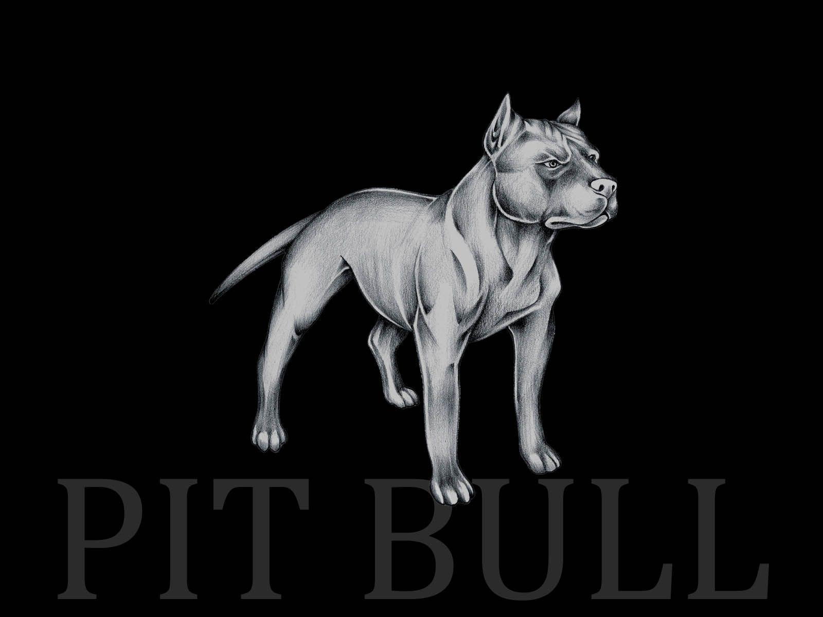 1600x1200 Wallpaper Of Pitbulls 22.June.2018, Desktop