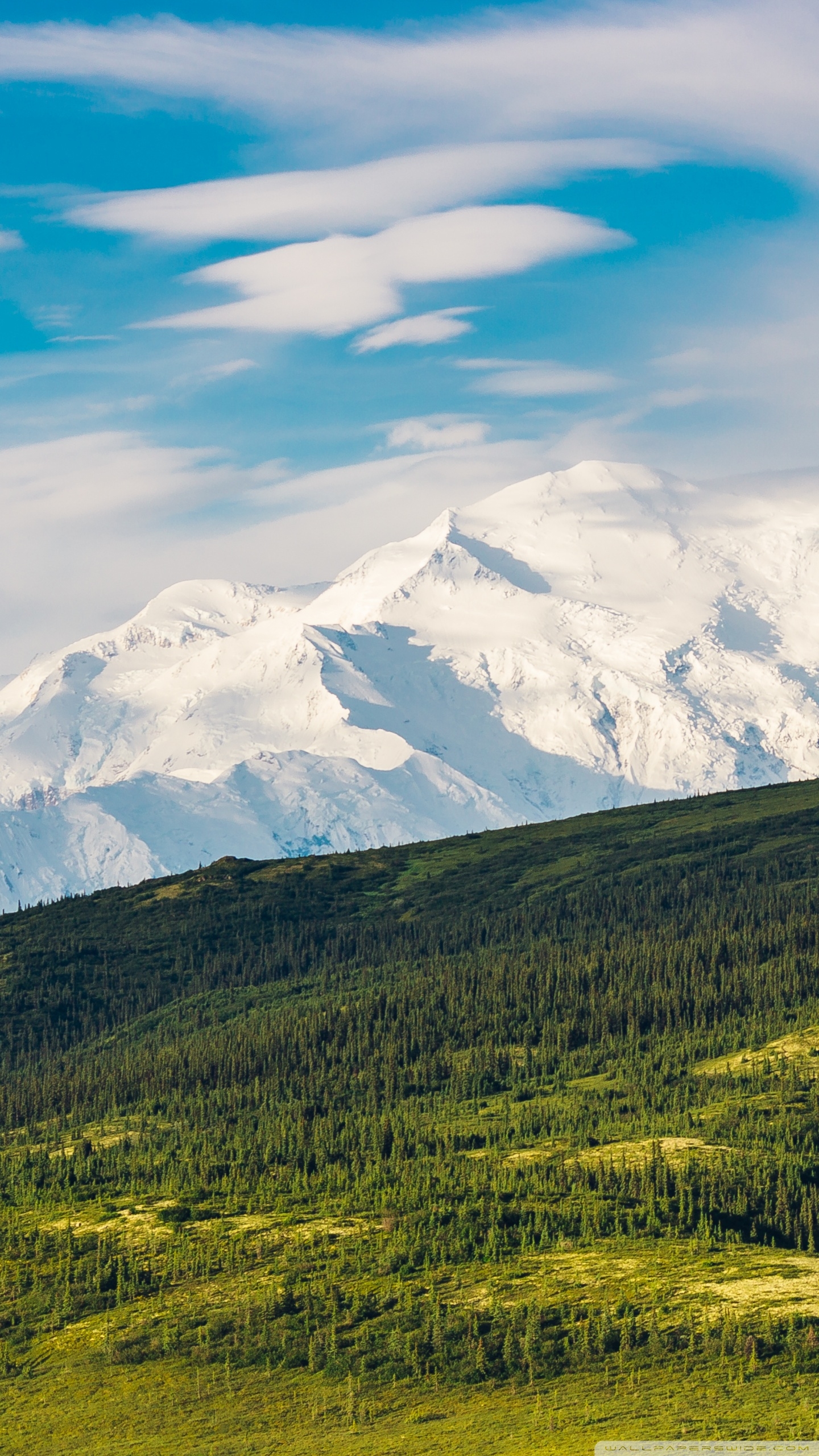 1440x2560 Denali National Park and Preserve, Phone