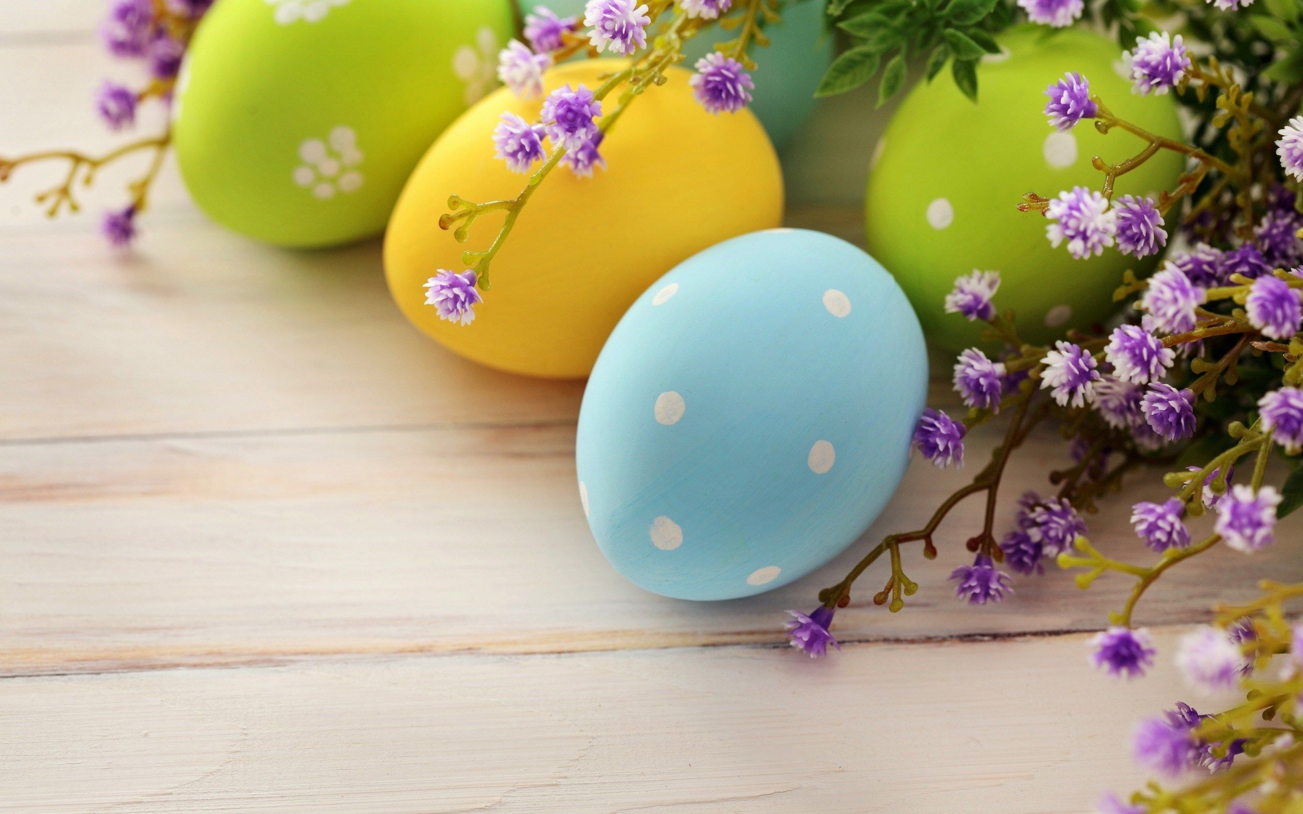 2560x1600 Free Easter Flower Wallpaper, Desktop