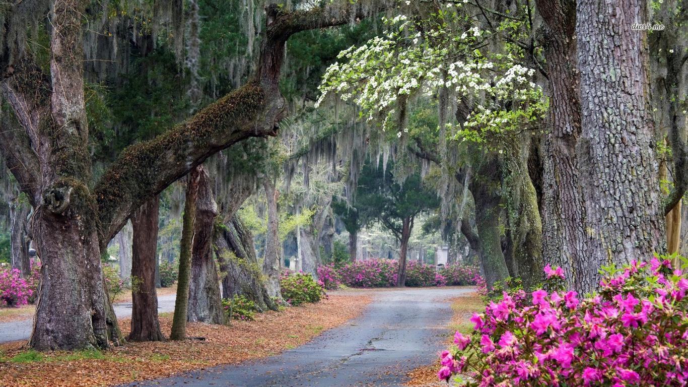 1370x770 Savannah GA Desktop Wallpaper, Desktop